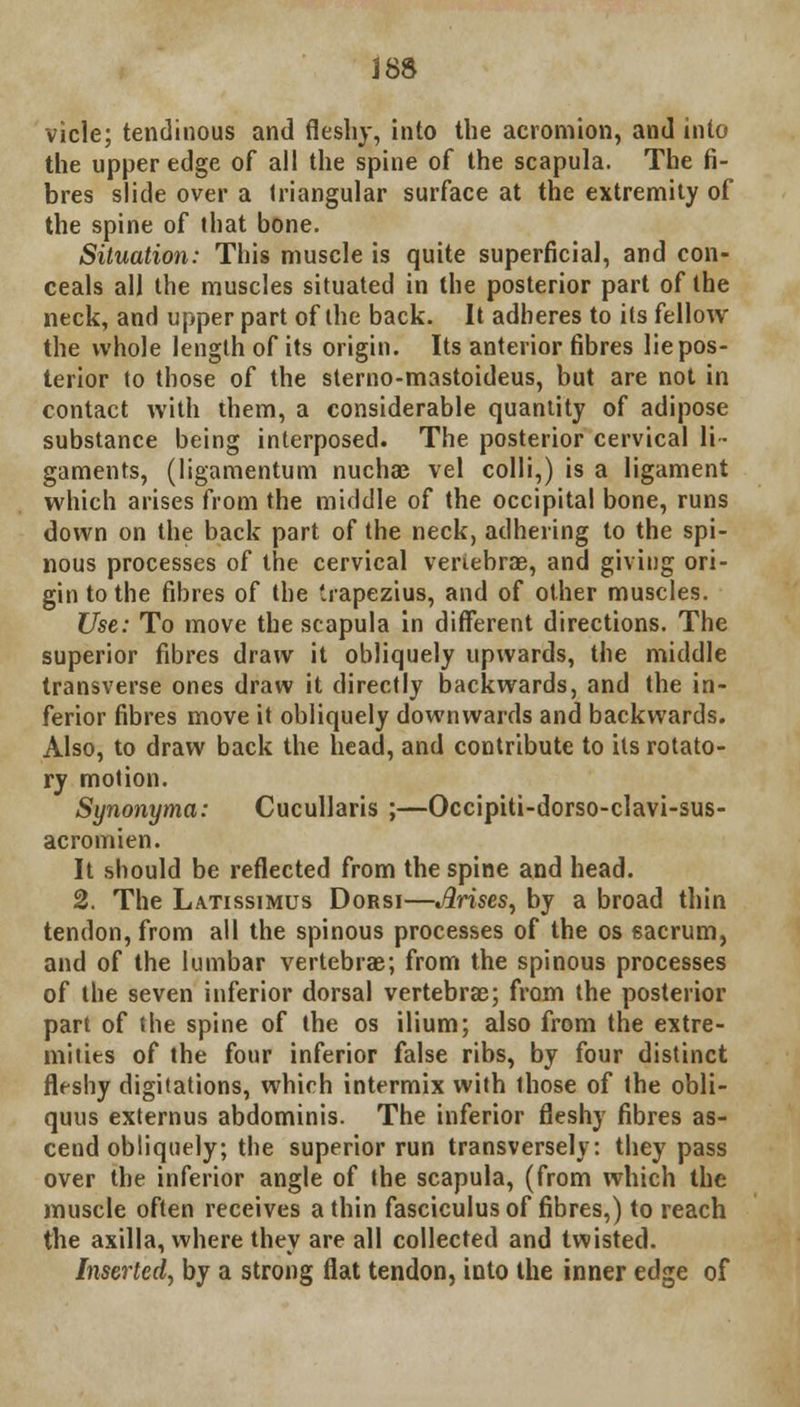 388 vicle; tendinous and fleshy, into the acromion, and into the upper edge of all the spine of the scapula. The fi- bres slide over a triangular surface at the extremity of the spine of that bone. Situation: This muscle is quite superficial, and con- ceals all the muscles situated in the posterior part of the neck, and upper part of the back. It adheres to its fellow the whole length of its origin. Its anterior fibres lie pos- terior to those of the sterno-mastoideus, but are not in contact with them, a considerable quantity of adipose substance being interposed. The posterior cervical li- gaments, (ligamentum nucha? vel colli,) is a ligament which arises from the middle of the occipital bone, runs down on the back part of the neck, adhering to the spi- nous processes of the cervical vertebrae, and giving ori- gin to the fibres of the trapezius, and of other muscles. Use: To move the scapula in different directions. The superior fibres draw it obliquely upwards, the middle transverse ones draw it directly backwards, and the in- ferior fibres move it obliquely downwards and backwards. Also, to draw back the head, and contribute to its rotato- ry motion. Synonyma: Cucullaris ;—Occipiti-dorso-clavi-sus- acromien. It should be reflected from the spine and head. 2. The Latissimus Dorsi—Arises, by a broad thin tendon, from all the spinous processes of the os sacrum, and of the lumbar vertebrae; from the spinous processes of the seven inferior dorsal vertebras; from the posterior part of the spine of the os ilium; also from the extre- mities of the four inferior false ribs, by four distinct fleshy digitations, which intermix with those of the obli- quus externus abdominis. The inferior fleshy fibres as- cend obliquely; the superior run transversely: they pass over the inferior angle of the scapula, (from which the muscle often receives a thin fasciculus of fibres,) to reach the axilla, where they are all collected and twisted. Inserted, by a strong flat tendon, into the inner edge of