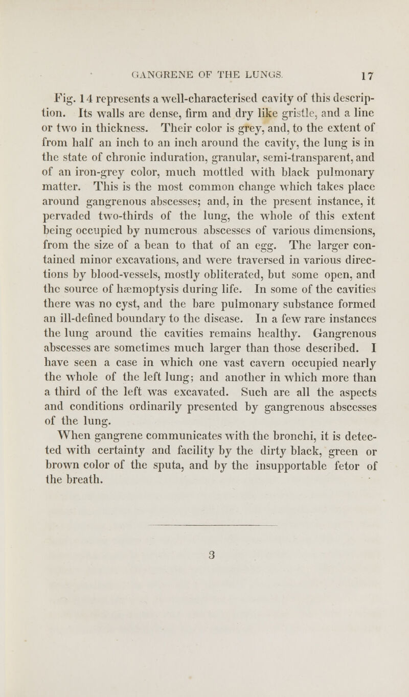 Fig. 14 represents a well-characterised cavity of this descrip- tion. Its walls are dense, firm and dry like gristle, and a line or two in thickness. Their color is grey, and, to the extent of from half an inch to an inch around the cavity, the lung is in the state of chronic induration, granular, semi-transparent, and of an iron-grey color, much mottled with black pulmonary matter. This is the most common change which takes place around gangrenous abscesses; and, in the present instance, it pervaded two-thirds of the lung, the whole of this extent being occupied by numerous abscesses of various dimensions, from the size of a bean to that of an egg. The larger con- tained minor excavations, and were traversed in various direc- tions by blood-vessels, mostly obliterated, but some open, and the source of haemoptysis during life. In some of the cavities there was no cyst, and the bare pulmonary substance formed an ill-defined boundary to the disease. In a few rare instances the lung around the cavities remains healthy. Gangrenous abscesses are sometimes much larger than those described. I have seen a case in which one vast cavern occupied nearly the whole of the left lung; and another in which more than a third of the left was excavated. Such are all the aspects and conditions ordinarily presented by gangrenous abscesses of the lung. When gangrene communicates with the bronchi, it is detec- ted with certainty and facility by the dirty black, green or brown color of the sputa, and by the insupportable fetor of (he breath.