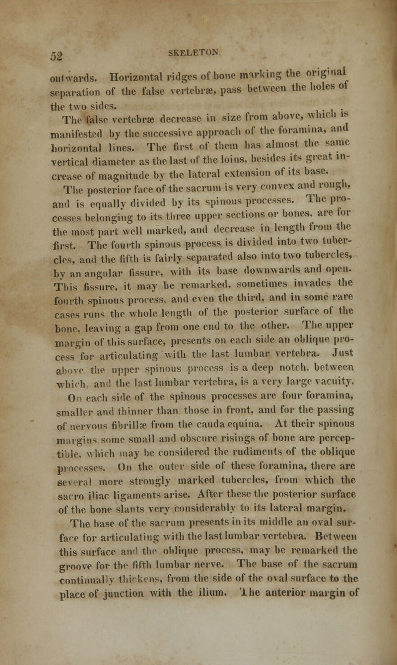 outwards. Horizontal ridges of bone marking the original separation of the false vertebra, pass between the holes oi the two sides. . The false vertebra? decrease in size from above, which is manifested by the successive approach of the foramina, and horizontal lines. The first of them has almost the same vertical diameter as the last of the loins, besides its great in- crease of magnitude bv the lateral extension of its base. The posterior fare of the sacrum is very convex and rough, and is equally divided by its spinous processes. The pro- cesses belonging to its three upper sections or bones, are for the most part well marked, and decrease in length from the first. The fourth spinous process is divided into two tuber- cles, and the fifth is fairly separated also into two tubercles, by an angular fissure, with its base downwards and open. This fissure, it may be remarked, sometimes invades the fourth spinous process., and even the third, and in some rare cases runs the whole length of the posterior surface of the bone, leaving a gap from one end to the other. The upper margin of this surface, presents on each side an oblique pro- cess for articulating with the last lumbar vertebra. Just above the upper spinous process is a deep notch, between which and the last lumbar vertebra, is a very large vacuity. On each side of the spinous processes are four foramina, smaller and thinner than those in front, and for the passing oi' nervous fibrillar from the cauda equina. At their spinous margins some small and obscure risings of bone are percep- tible, which may he considered the rudiments of the oblique processes. On the outer side of these foramina, there arc several more strongly marked tubercles, from which the sacro iliac ligaments arise. After these the posterior surface of the bone slants very considerably to its lateral margin. The base of the sacrum presents in its middle an oval sur- face for articulating with the last lumbar vertebra. Between this surface and the oblique process, may be remarked the groove for the filth lumbar nerve. The base of the sacrum continually thickens, from the side of the o\al surface to the place of junction with the ilium, 'ihe anterior margin of