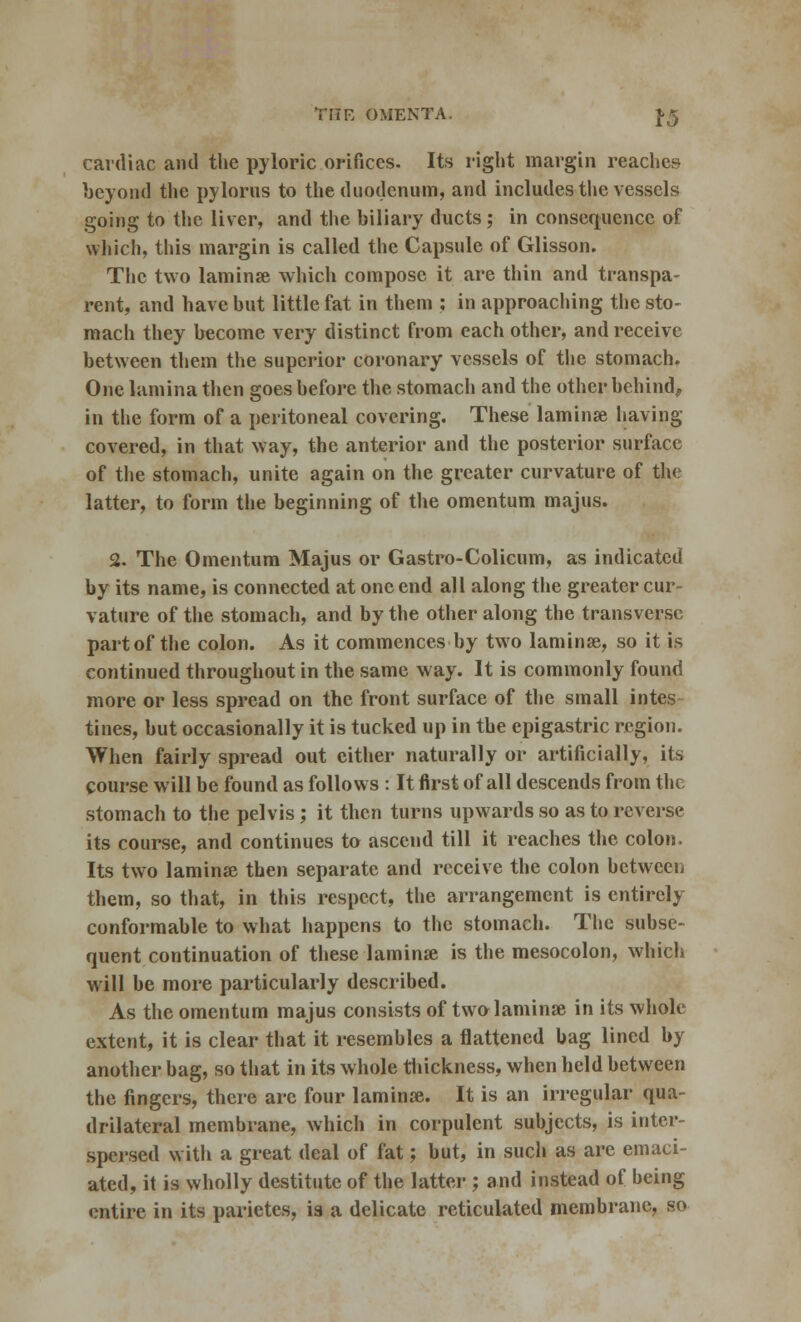 THE OMENTA. J.5 cardiac and the pyloric orifices. Its right margin reaches beyond the pylorus to the duodenum, and includes the vessels going to the liver, and the biliary ducts; in consequence of which, this margin is called the Capsule of Glisson. The two laminae which compose it are thin and transpa- rent, and have but little fat in them ; in approaching the sto- mach they become very distinct from each other, and receive between them the superior coronary vessels of the stomach. One lamina then goes before the stomach and the other behind, in the form of a peritoneal covering. These laminse having covered, in that way, the anterior and the posterior surface of the stomach, unite again on the greater curvature of the latter, to form the beginning of the omentum majus. 2. The Omentum Majus or Gastro-Colicum, as indicated by its name, is connected at one end all along the greater cur- vature of the stomach, and by the other along the transverse part of the colon. As it commences by two laminse, so it is continued throughout in the same way. It is commonly found more or less spread on the front surface of the small intes tines, but occasionally it is tucked up in the epigastric region. When fairly spread out cither naturally or artificially, its course will be found as follows : It first of all descends from the stomach to the pelvis ; it then turns upwards so as to reverse its course, and continues to ascend till it reaches the colon. Its two laminse then separate and receive the colon between them, so that, in this respect, the arrangement is entirely conformable to what happens to the stomach. The subse- quent continuation of these laminse is the mesocolon, which will be more particularly described. As the omentum majus consists of two laminse in its whole extent, it is clear that it resembles a flattened bag lined by another bag, so that in its whole thickness, when held between the fingers, there are four laminse. It is an irregular qua- drilateral membrane, which in corpulent subjects, is inter- spersed with a great deal of fat; but, in such as are emaci- ated, it is wholly destitute of the latter ; and instead of being entire in its parietes, is a delicate reticulated membrane, so