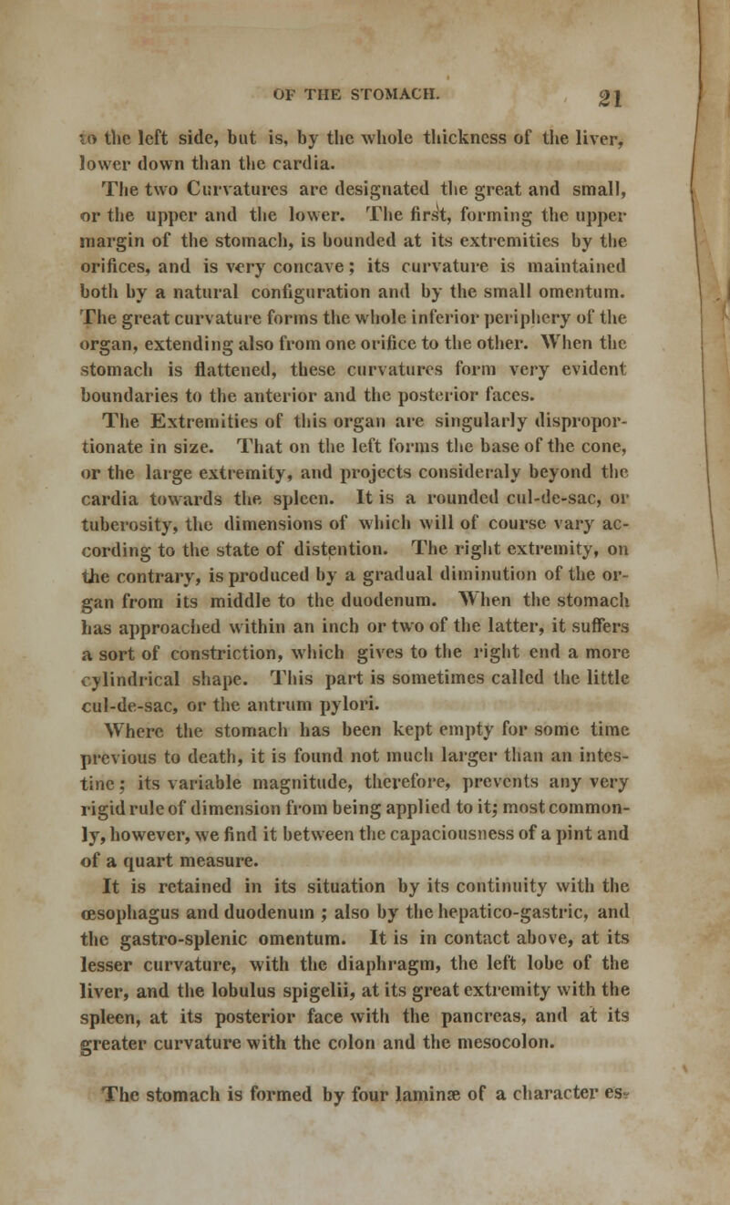 OF THE STOMACH. gj id the left side, but is, by the whole thickness of the liver, lower down than the cardia. The two Curvatures are designated the great and small, or the upper and the lower. The first, forming the upper margin of the stomach, is bounded at its extremities by the orifices, and is very concave; its curvature is maintained both by a natural configuration and by the small omentum. The great curvature forms the whole inferior periphery of the organ, extending also from one orifice to the other. When the stomach is flattened, these curvatures form very evident boundaries to the anterior and the posterior faces. The Extremities of this organ are singularly dispropor- tionate in size. That on the left forms the base of the cone, or the large extremity, and projects consideraly beyond the cardia towards the spleen. It is a rounded cul-de-sac, or tuberosity, the dimensions of which will of course vary ac- cording to the state of distention. The right extremity, on tJie contrary, is produced by a gradual diminution of the or- gan from its middle to the duodenum. When the stomach has approached within an inch or two of the latter, it suffers a sort of constriction, which gives to the right end a more cylindrical shape. This part is sometimes called the little cul-de-sac, or the antrum pylori. Where the stomach has been kept empty for some time previous to death, it is found not much larger than an intes- tine ; its variable magnitude, therefore, prevents any very rigid rule of dimension from being applied to it; most common- ly, however, we find it between the capaciousness of a pint and of a quart measure. It is retained in its situation by its continuity with the oesophagus and duodenum ; also by the hepatico-gastric, and the gastro-splenic omentum. It is in contact above, at its lesser curvature, with the diaphragm, the left lobe of the liver, and the lobulus spigelii, at its great extremity with the spleen, at its posterior face with the pancreas, and at its greater curvature with the colon and the mesocolon. The stomach is formed by four laminae of a character es?