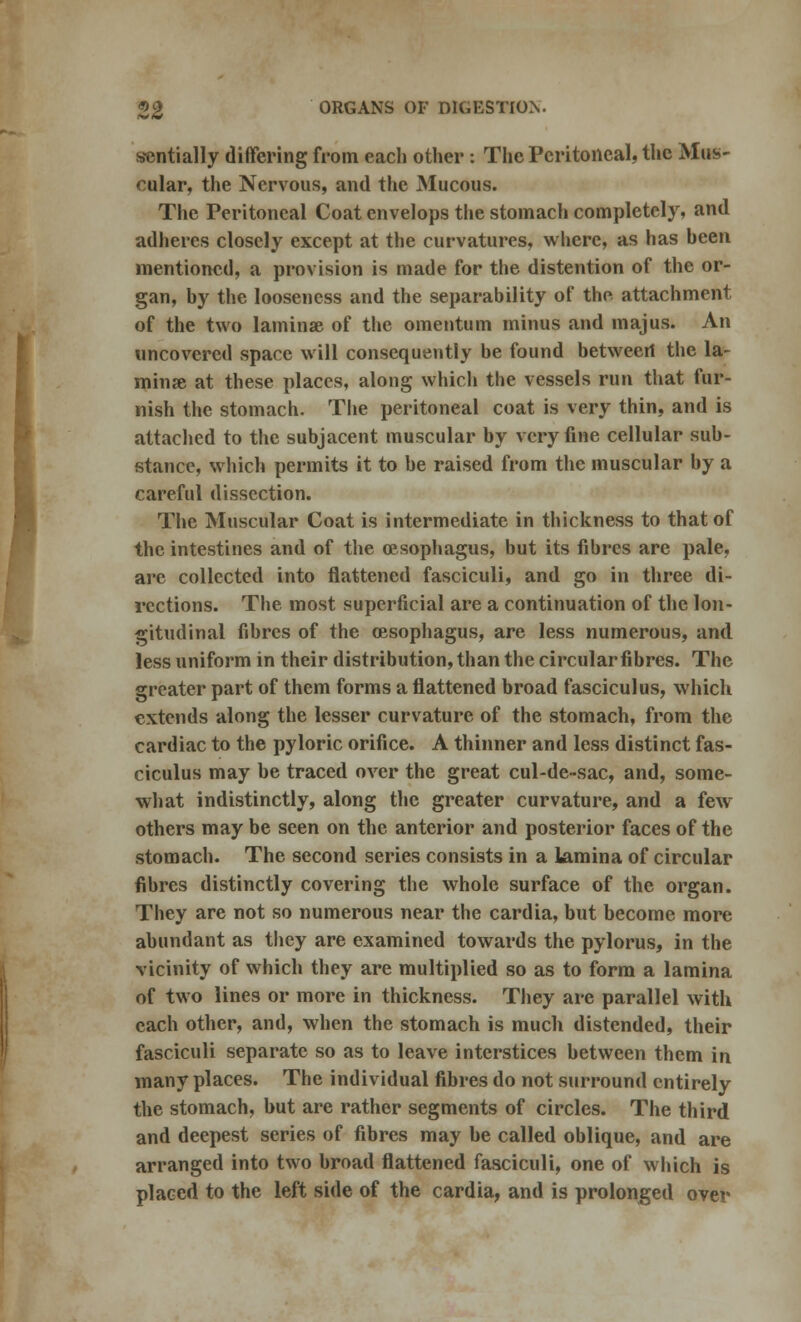 sentially differing from each other: The Peritoneal, the Mus- cular, the Nervous, and the Mucous. The Peritoneal Coat envelops the stomach completely, and adheres closely except at the curvatures, where, as has heen mentioned, a provision is made for the distention of the or- gan, by the looseness and the separability of the attachment of the two laminae of the omentum minus and majus. An uncovered space will consequently be found between the la- minae at these places, along which the vessels run that fur- nish the stomach. The peritoneal coat is very thin, and is attached to the subjacent muscular by very fine cellular sub- stance, which permits it to be raised from the muscular by a careful dissection. The Muscular Coat is intermediate in thickness to that of the intestines and of the oesophagus, but its fibres are pale, are collected into flattened fasciculi, and go in three di- rections. The most superficial are a continuation of the lon- gitudinal fibres of the oesophagus, are less numerous, and less uniform in their distribution, than the circular fibres. The greater part of them forms a flattened broad fasciculus, which extends along the lesser curvature of the stomach, from the cardiac to the pyloric orifice. A thinner and less distinct fas- ciculus may be traced over the great cul-de-sac, and, some- what indistinctly, along the greater curvature, and a few others may be seen on the anterior and posterior faces of the stomach. The second series consists in a lamina of circular fibres distinctly covering the whole surface of the organ. They are not so numerous near the cardia, but become more abundant as they are examined towards the pylorus, in the vicinity of which they are multiplied so as to form a lamina of two lines or more in thickness. They are parallel with each other, and, when the stomach is much distended, their fasciculi separate so as to leave interstices between them in many places. The individual fibres do not surround entirely the stomach, but are rather segments of circles. The third and deepest series of fibres may be called oblique, and are arranged into two broad flattened fasciculi, one of which is placed to the left side of the cardia, and is prolonged over