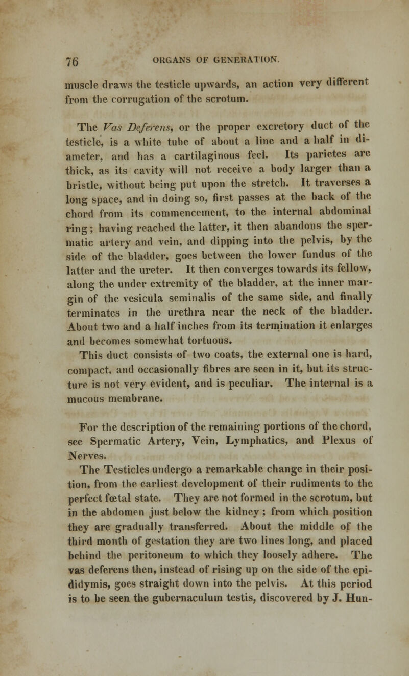 muscle draws the testicle upwards, an action very different from the corrugation of the scrotum. The Vas Deferens, or the proper excretory duct of the testicle, is a white tuhe of ahout a line and a half in di- ameter, and has a cartilaginous feci. Its parictes are thick, as its cavity will not receive a hody larger than a bristle, without being put upon the stretch. It traverses a long space, and in doing so, first passes at the back of the chord from its commencement, to the internal abdominal ring; having reached the latter, it then abandons the sper- matic artery and vein, and dipping into the pelvis, by the side of the bladder, goes between the lower fundus of the latter and the ureter. It then converges towards its fellow, along the under extremity of the bladder, at the inner mar- gin of the vesicula seminalis of the same side, and finally terminates in the urethra near the neck of the bladder. About two and a half inches from its termination it enlarges and becomes somewhat tortuous. This duct consists of two coats, the external one is hard, compact, and occasionally fibres are seen in it, but its struc- ture is not very evident, and is peculiar. The internal is a mucous membrane. For the description of the remaining portions of the chord, see Spermatic Artery, Vein, Lymphatics, and Plexus of Nerves. The Testicles undergo a remarkable change in their posi- tion, from the earliest development of their rudiments to the perfect festal state. They are not formed in the scrotum, but in the abdomen just below the kidney ; from which position they are gradually transferred. About the middle of the third month of gestation they are two lines long, and placed behind the peritoneum to which they loosely adhere. The vas deferens then, instead of rising up on the side of the epi- didymis, goes straight down into the pelvis. At this period is to be seen the gubernaculum testis, discovered by J. Hun-