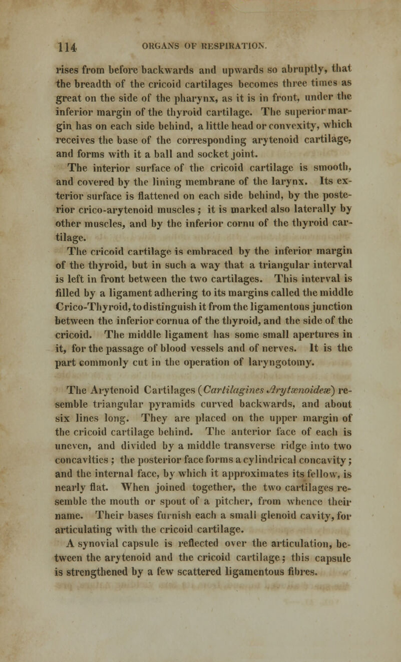 rises from before backwards and upwards so abruptly, tbai the breadth of the cricoid cartilages becomes three times as great on the side of the pharynx, as it is in front, under the inferior margin of the thyroid cartilage. The superior mar- gin has on each side behind, a little head or convexity, which receives the base of the corresponding arytenoid cartilage, and forms with it a ball and socket joint. The interior surface of the cricoid cartilage is smooth, and covered by the lining membrane of the larynx. Its ex- terior surface is flattened on each side behind, by the poste- rior crico-arytenoid muscles ; it is marked also laterally by other muscles, and by the inferior cornu of the thyroid car- tilage. The cricoid cartilage is embraced by the inferior margin of the thyroid, but in such a way that a triangular interval is left in front between the two cartilages. This interval is filled by a ligament adhering to its margins called the middle Crico-Thyroid, to distinguish it from the ligamentous junction between the inferior cornua of the thyroid, and the side of the cricoid. The middle ligament has some small apertures in it, for the passage of blood vessels and of nerves. It is the part commonly cut in the operation of laryngotomy. The Arytenoid Cartilages {Cartilagines Jlrytamoidese) re- semble triangular pyramids curved backwards, and about six lines long. They are placed on the upper margin of the cricoid cartilage behind. The anterior face of each is uneven, and divided by a middle transverse ridge into two concavities ; the posterior face forms a cylindrical concavity; and the internal face, by which it approximates its fellow, is nearly flat. When joined together, the two cartilages re- semble the mouth or spout of a pitcher, from whence their name. Their bases furnish each a small glenoid cavity, for articulating with the cricoid cartilage. A synovial capsule is reflected over the articulation, be- tween the arytenoid and the cricoid cartilage; this capsule is strengthened by a few scattered ligamentous fibres.