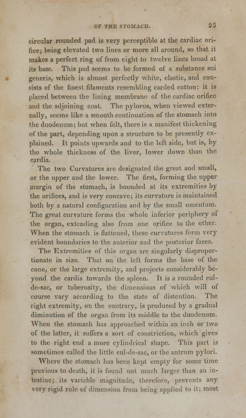 circular rounded pad is very perceptible at the cardiac ori- fice; being elevated two lines or more all around, so that it makes a perfect ring of from eight to twelve lines broad at its base. This pad seems to be formed of a substance sui generis, which is almost perfectly white, elastic, and con- sists of the finest filaments resembling carded cotton: it is placed between the lining membrane of the cardiac orifice and the adjoining coat. The pylorus, when viewed exter- nally, seems like a smooth continuation of the stomach into the duodenum; but when felt, there is a manifest thickening of the part, depending upon a structure to be presently ex- plained. It points upwards and to the left side, but is, by the whole thickness of the liver, lower down than the cardia. The two Curvatures are designated the great and small, or the upper and the lower. The first, forming the upper margin of the stomach, is bounded at its extremities by the orifices, and is very concave; its curvature is maintained both by a natural configuration and by the small omentum. The great curvature forms the whole inferior periphery of the organ, extending also from one orifice to the other. When the stomach is flattened, these curvatures form very evident boundaries to the anterior and the posterior faces. The Extremities of this organ are singularly dispropor- tionate in size. That on the left forms the base of the cone, or the large extremity, and projects considerably be- yond the cardia towards the spleen. It is a rounded cul- de-sac, or tuberosity, the dimensions of which will of course vary according to the state of distention. The right extremity, on the contrary, is produced by a gradual diminution of the organ from its middle to the duodenum. When the stomach has approached within an inch or two of the latter, it suffers a sort of constriction, which gives to the right end a more cylindrical shape. This part is sometimes called the little cul-de-sac, or the antrum pylori. Where the stomach has been kept empty for some time previous to death, it is found not much larger than an in- testine; its variable magnitude, therefore, prevents any very rigid rule of dimension from being applied to it; most