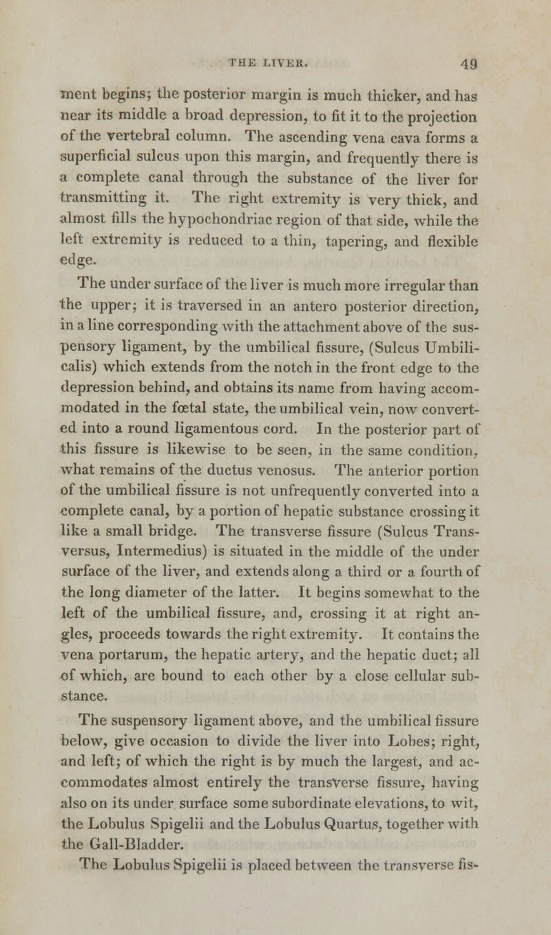 ment begins; the posterior margin is much thicker, and has near its middle a broad depression, to fit it to the projection of the vertebral column. The ascending vena cava forms a superficial sulcus upon this margin, and frequently there is a complete canal through the substance of the liver for transmitting it. The right extremity is very thick, and almost fills the hypochondriac region of that side, while the left extremity is reduced to a thin, tapering, and flexible edge. The under surface of the liver is much more irregular than the upper; it is traversed in an antero posterior direction, in a line corresponding with the attachment above of the sus- pensory ligament, by the umbilical fissure, (Sulcus Umbili- calis) which extends from the notch in the front edge to the depression behind, and obtains its name from having accom- modated in the foetal state, the umbilical vein, now convert- ed into a round ligamentous cord. In the posterior part of this fissure is likewise to be seen, in the same condition, what remains of the ductus venosus. The anterior portion of the umbilical fissure is not unfrequently converted into a complete canal, by a portion of hepatic substance crossing it like a small bridge. The transverse fissure (Sulcus Trans- versa, Intermedius) is situated in the middle of the under surface of the liver, and extends along a third or a fourth of the long diameter of the latter. It begins somewhat to the left of the umbilical fissure, and, crossing it at right an- gles, proceeds towards the right extremity. It contains the vena portarum, the hepatic artery, and the hepatic duct; all of which, are bound to each other by a close cellular sub- stance. The suspensory ligament above, and the umbilical fissure below, give occasion to divide the liver into Lobes; right, and left; of which the right is by much the largest, and ac- commodates almost entirely the transverse fissure, having also on its under surface some subordinate elevations, to wit, the Lobulus Spigelii and the Lobulus Quartus, together with the Gall-Bladder. The Lobulus Spigelii is placed between the transverse fis-