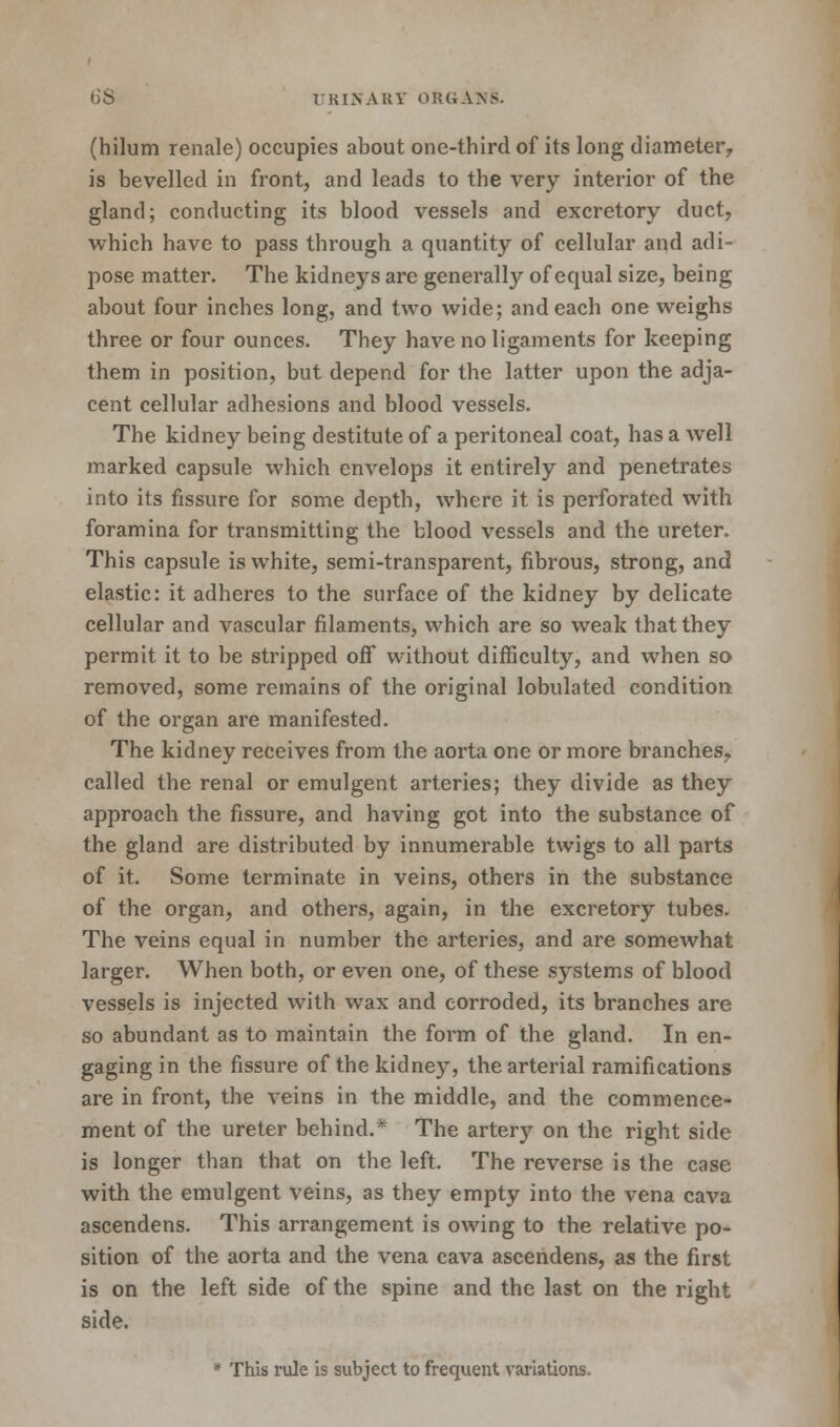 (hilum renale) occupies about one-third of its long diameter, is bevelled in front, and leads to the very interior of the gland; conducting its blood vessels and excretory duct, which have to pass through a quantity of cellular and adi- pose matter. The kidneys are generally of equal size, being about four inches long, and two wide; and each one weighs three or four ounces. They have no ligaments for keeping them in position, but depend for the latter upon the adja- cent cellular adhesions and blood vessels. The kidney being destitute of a peritoneal coat, has a well marked capsule which envelops it entirely and penetrates into its fissure for some depth, where it is perforated with foramina for transmitting the blood vessels and the ureter. This capsule is white, semi-transparent, fibrous, strong, and elastic: it adheres to the surface of the kidney by delicate cellular and vascular filaments, which are so weak that they permit it to be stripped off without difficulty, and when so removed, some remains of the original lobulated condition of the organ are manifested. The kidney receives from the aorta one or more branches, called the renal or emulgent arteries; they divide as they approach the fissure, and having got into the substance of the gland are distributed by innumerable twigs to all parts of it. Some terminate in veins, others in the substance of the organ, and others, again, in the excretory tubes. The veins equal in number the arteries, and are somewhat larger. When both, or even one, of these systems of blood vessels is injected with wax and corroded, its branches are so abundant as to maintain the form of the gland. In en- gaging in the fissure of the kidney, the arterial ramifications are in front, the veins in the middle, and the commence- ment of the ureter behind.* The artery on the right side is longer than that on the left. The reverse is the case with the emulgent veins, as they empty into the vena cava ascendens. This arrangement is owing to the relative po- sition of the aorta and the vena cava ascendens, as the first is on the left side of the spine and the last on the right side. * This rule is subject to frequent variations.