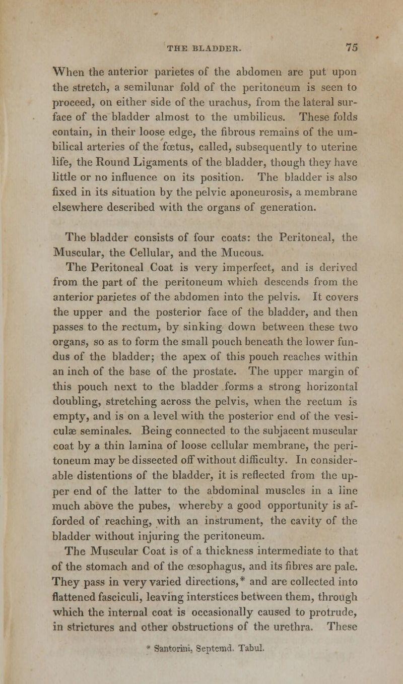 When the anterior parietes of the abdomen are put upon the stretch, a semilunar fold of the peritoneum is seen to proceed, on either side of the urachus, from the lateral sur- face of the bladder almost to the umbilicus. These folds contain, in their loose edge, the fibrous remains of the um- bilical arteries of the foetus, called, subsequently to uterine life, the Round Ligaments of the bladder, though they have little or no influence on its position. The bladder is also fixed in its situation by the pelvic aponeurosis, a membrane elsewhere described with the organs of generation. The bladder consists of four coats: the Peritoneal, the Muscular, the Cellular, and the Mucous. The Peritoneal Coat is very imperfect, and is derived from the part of the peritoneum which descends from the anterior parietes of the abdomen into the pelvis. It covers the upper and the posterior face of the bladder, and then passes to the rectum, by sinking down between these two organs, so as to form the small pouch beneath the lower fun- dus of the bladder; the apex of this pouch reaches within an inch of the base of the prostate. The upper margin of this pouch next to the bladder forms a strong horizontal doubling, stretching across the pelvis, when the rectum is empty, and is on a level with the posterior end of the vesi- culae seminales. Being connected to the subjacent muscular coat by a thin lamina of loose cellular membrane, the peri- toneum may be dissected off without difficulty. In consider- able distentions of the bladder, it is reflected from the up- per end of the latter to the abdominal muscles in a line much above the pubes, whereby a good opportunity is af- forded of reaching, with an instrument, the cavity of the bladder without injuring the peritoneum. The Muscular Coat is of a thickness intermediate to that of the stomach and of the oesophagus, and its fibres are pale. They pass in very varied directions,* and are collected into flattened fasciculi, leaving interstices between them, through which the internal coat is occasionally caused to protrude, in strictures and other obstructions of the urethra. These * Santonin, Septemd. Tabul.