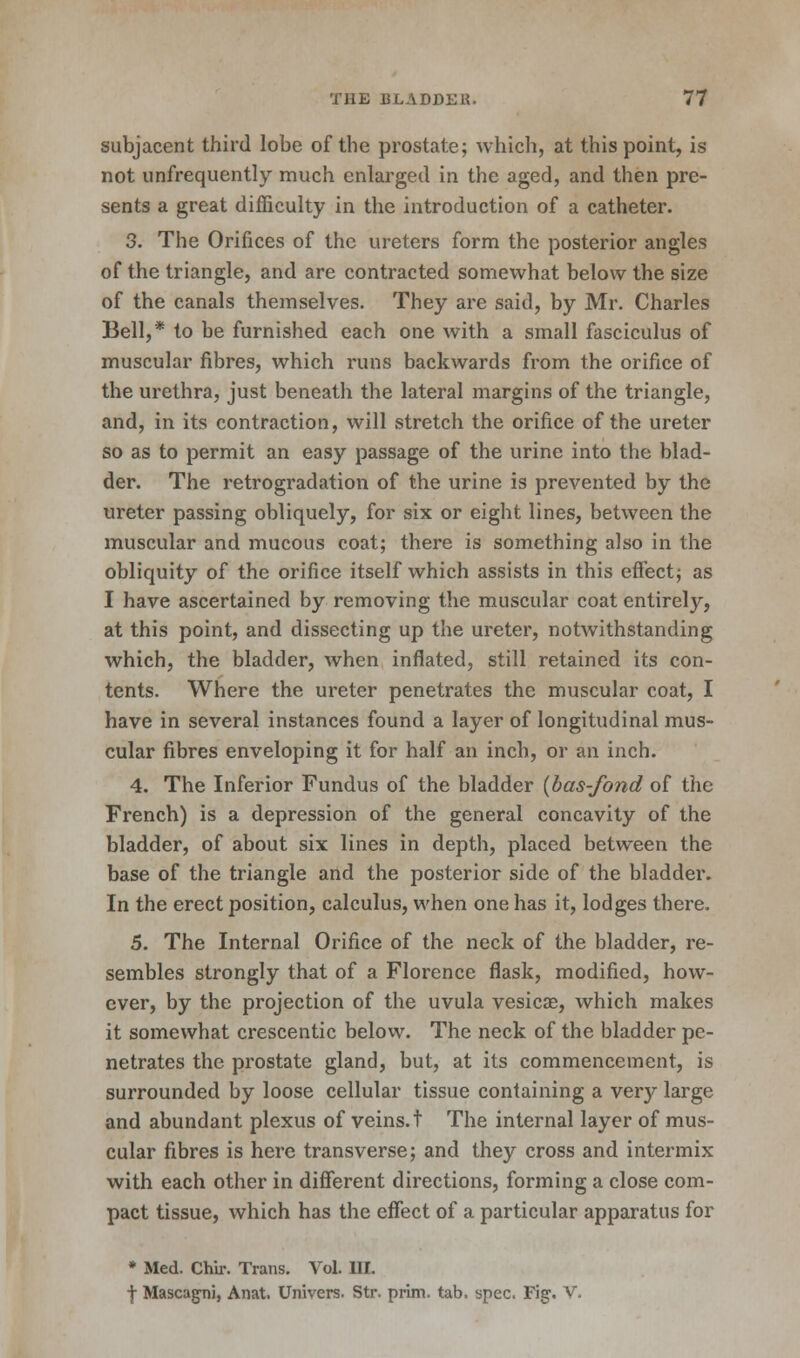 subjacent third lobe of the prostate; which, at this point, is not unfrequently much enlarged in the aged, and then pre- sents a great difficulty in the introduction of a catheter. 3. The Orifices of the ureters form the posterior angles of the triangle, and are contracted somewhat below the size of the canals themselves. They are said, by Mr. Charles Bell,* to be furnished each one with a small fasciculus of muscular fibres, which runs backwards from the orifice of the urethra, just beneath the lateral margins of the triangle, and, in its contraction, will stretch the orifice of the ureter so as to permit an easy passage of the urine into the blad- der. The retrogradation of the urine is prevented by the ureter passing obliquely, for six or eight lines, between the muscular and mucous coat; there is something also in the obliquity of the orifice itself which assists in this effect; as I have ascertained by removing the muscular coat entirely, at this point, and dissecting up the ureter, notwithstanding which, the bladder, when inflated, still retained its con- tents. Where the ureter penetrates the muscular coat, I have in several instances found a layer of longitudinal mus- cular fibres enveloping it for half an inch, or an inch. 4. The Inferior Fundus of the bladder {bas-fond of the French) is a depression of the general concavity of the bladder, of about six lines in depth, placed between the base of the triangle and the posterior side of the bladder* In the erect position, calculus, when one has it, lodges there. 5. The Internal Orifice of the neck of the bladder, re- sembles strongly that of a Florence flask, modified, how- ever, by the projection of the uvula vesicas, which makes it somewhat crescentic below. The neck of the bladder pe- netrates the prostate gland, but, at its commencement, is surrounded by loose cellular tissue containing a very large and abundant plexus of veins.! The internal layer of mus- cular fibres is here transverse; and they cross and intermix with each other in different directions, forming a close com- pact tissue, which has the effect of a particular apparatus for * Med. Chir. Trans. Vol. 1H. f Mascagtii, Anat. Univers. Str. prim, tab, spec. Fig1. V.