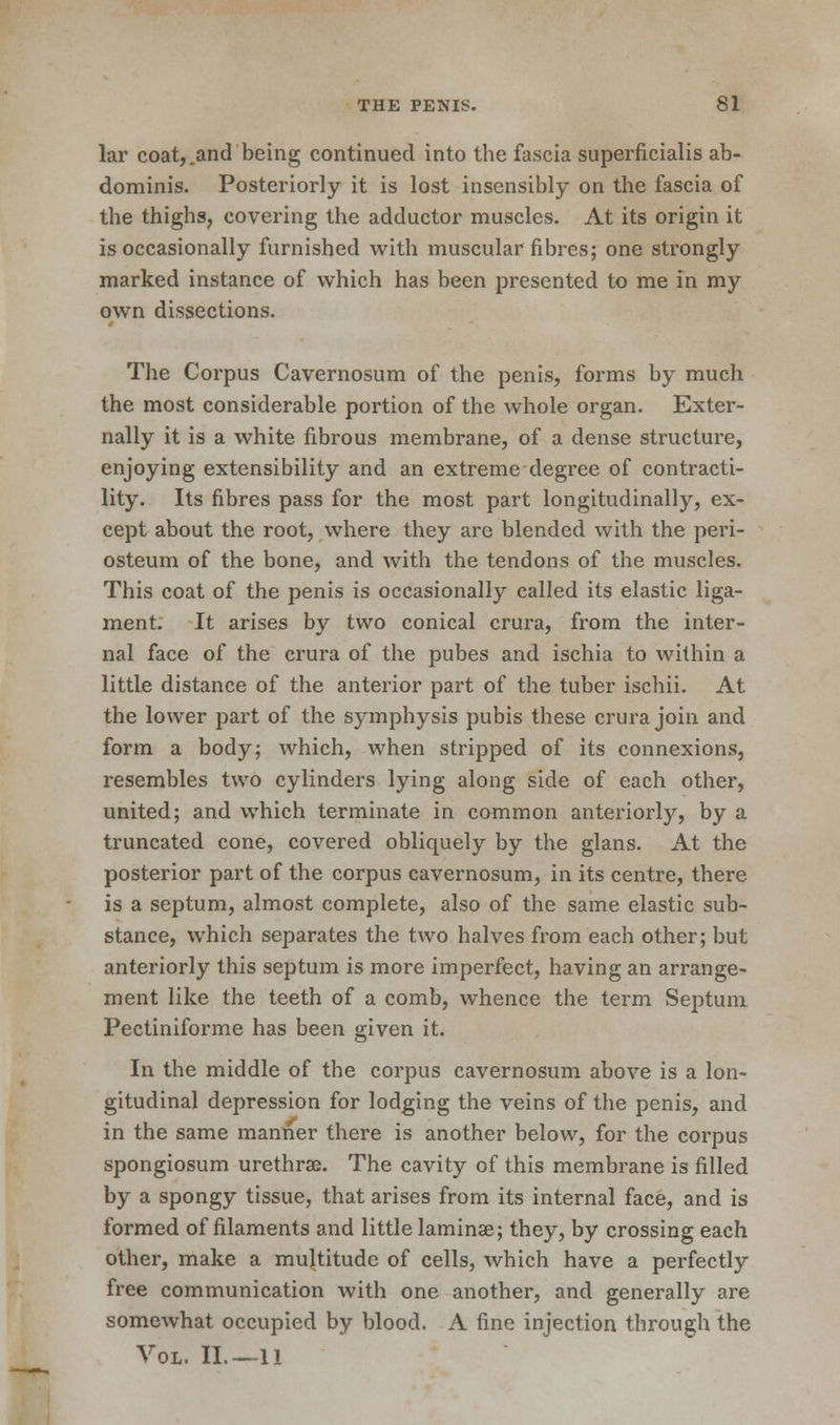 lar coat,.and being continued into the fascia superficialis ab- dominis. Posteriorly it is lost insensibly on the fascia of the thighs, covering the adductor muscles. At its origin it is occasionally furnished with muscular fibres; one strongly marked instance of which has been presented to me in my own dissections. The Corpus Cavernosum of the penis, forms by much the most considerable portion of the whole organ. Exter- nally it is a white fibrous membrane, of a dense structure, enjoying extensibility and an extreme degree of contracti- lity. Its fibres pass for the most part longitudinally, ex- cept about the root, where they are blended with the peri- osteum of the bone, and with the tendons of the muscles. This coat of the penis is occasionally called its elastic liga- ment. It arises by two conical crura, from the inter- nal face of the crura of the pubes and ischia to within a little distance of the anterior part of the tuber ischii. At the lower part of the symphysis pubis these crura join and form a body; which, when stripped of its connexions, resembles two cylinders lying along side of each other, united; and which terminate in common anteriorly, by a truncated cone, covered obliquely by the glans. At the posterior part of the corpus cavernosum, in its centre, there is a septum, almost complete, also of the same elastic sub- stance, which separates the two halves from each other; but anteriorly this septum is more imperfect, having an arrange- ment like the teeth of a comb, whence the term Septum Pectiniforme has been given it. In the middle of the corpus cavernosum above is a lon- gitudinal depression for lodging the veins of the penis, and in the same manner there is another below, for the corpus spongiosum urethra?. The cavity of this membrane is filled by a spongy tissue, that arises from its internal face, and is formed of filaments and little laminae; they, by crossing each other, make a multitude of cells, which have a perfectly free communication with one another, and generally are somewhat occupied by blood. A fine injection through the Vol. II.— U