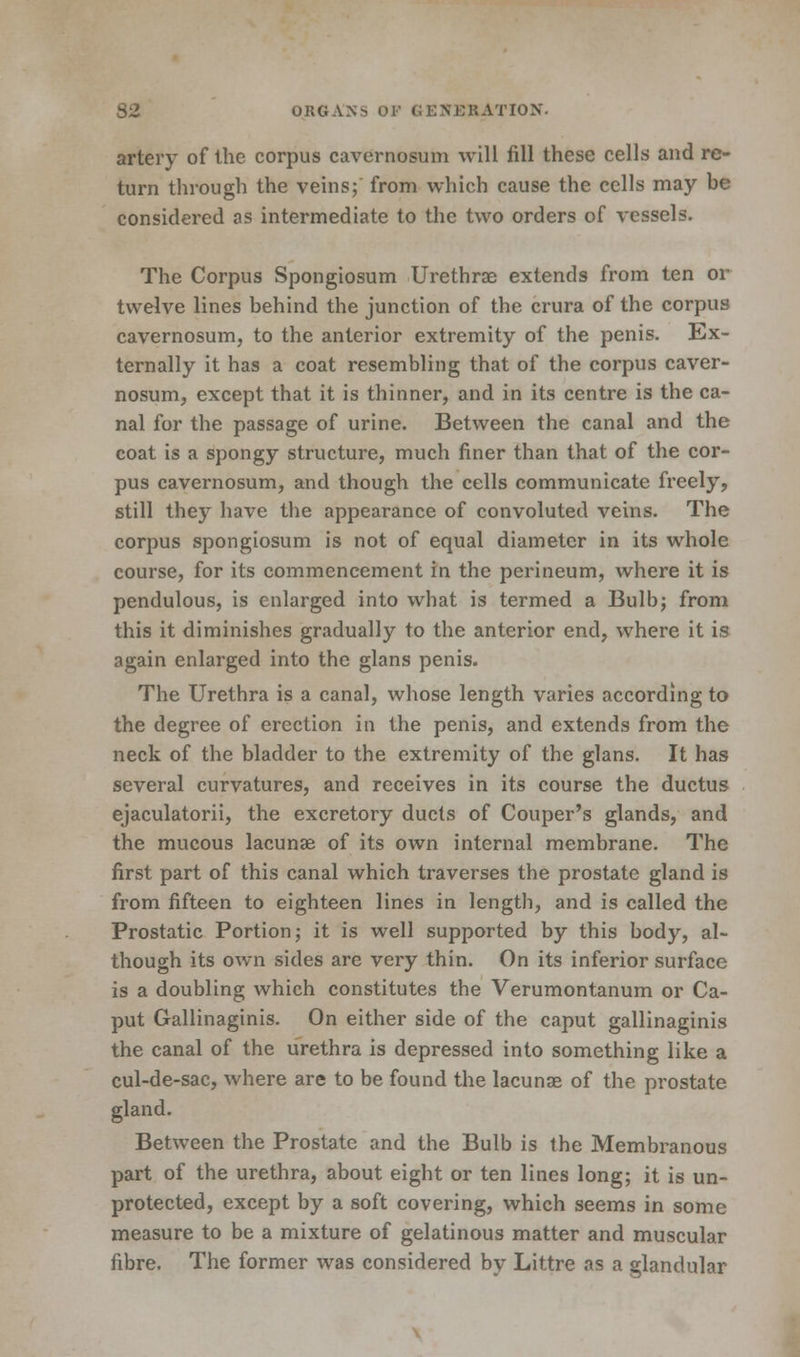 artery of the corpus cavernosum will fill these cells and re- turn through the veins; from which cause the cells may be considered as intermediate to the two orders of vessels. The Corpus Spongiosum Urethrae extends from ten or twelve lines behind the junction of the crura of the corpus cavernosum, to the anterior extremity of the penis. Ex- ternally it has a coat resembling that of the corpus caver- nosum, except that it is thinner, and in its centre is the ca- nal for the passage of urine. Between the canal and the coat is a spongy structure, much finer than that of the cor- pus cavernosum, and though the cells communicate freely, still they have the appearance of convoluted veins. The corpus spongiosum is not of equal diameter in its whole course, for its commencement in the perineum, where it is pendulous, is enlarged into what is termed a Bulb; from this it diminishes gradually to the anterior end, where it is again enlarged into the glans penis. The Urethra is a canal, whose length varies according to the degree of erection in the penis, and extends from the neck of the bladder to the extremity of the glans. It has several curvatures, and receives in its course the ductus ejaculatorii, the excretory ducts of Couper's glands, and the mucous lacunas of its own internal membrane. The first part of this canal which traverses the prostate gland is from fifteen to eighteen lines in length, and is called the Prostatic Portion; it is well supported by this body, al- though its own sides are very thin. On its inferior surface is a doubling which constitutes the Verumontanum or Ca- put Gallinaginis. On either side of the caput gallinaginis the canal of the urethra is depressed into something like a cul-de-sac, where are to be found the lacunae of the prostate gland. Between the Prostate and the Bulb is the Membranous part of the urethra, about eight or ten lines long; it is un- protected, except by a soft covering, which seems in some measure to be a mixture of gelatinous matter and muscular fibre. The former was considered by Littre as a glandular