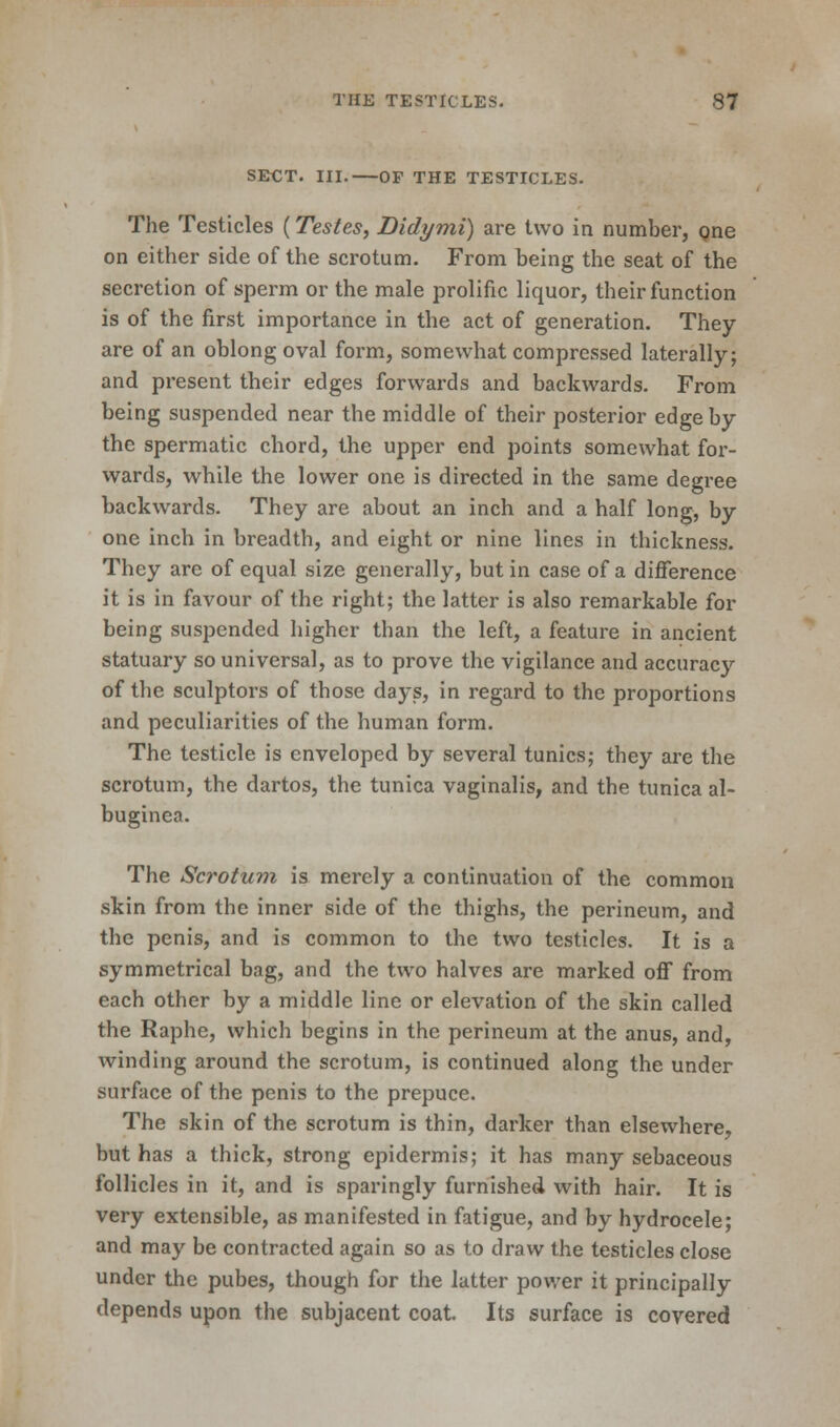 SECT. III.—OF THE TESTICLES. The Testicles (Testes, Didymi) are two in number, one on either side of the scrotum. From being the seat of the secretion of sperm or the male prolific liquor, their function is of the first importance in the act of generation. They are of an oblong oval form, somewhat compressed laterally; and present their edges forwards and backwards. From being suspended near the middle of their posterior edge by the spermatic chord, the upper end points somewhat for- wards, while the lower one is directed in the same degree backwards. They are about an inch and a half long, by one inch in breadth, and eight or nine lines in thickness. They are of equal size generally, but in case of a difference it is in favour of the right; the latter is also remarkable for being suspended higher than the left, a feature in ancient statuary so universal, as to prove the vigilance and accuracy of the sculptors of those days, in regard to the proportions and peculiarities of the human form. The testicle is enveloped by several tunics; they are the scrotum, the dartos, the tunica vaginalis, and the tunica al- buginea. The Scrotum is merely a continuation of the common skin from the inner side of the thighs, the perineum, and the penis, and is common to the two testicles. It is a symmetrical bag, and the two halves are marked off from each other by a middle line or elevation of the skin called the Raphe, which begins in the perineum at the anus, and, winding around the scrotum, is continued along the under surface of the penis to the prepuce. The skin of the scrotum is thin, darker than elsewhere, but has a thick, strong epidermis; it has many sebaceous follicles in it, and is sparingly furnished with hair. It is very extensible, as manifested in fatigue, and by hydrocele; and may be contracted again so as to draw the testicles close under the pubes, though for the latter power it principally depends upon the subjacent coat. Its surface is covered