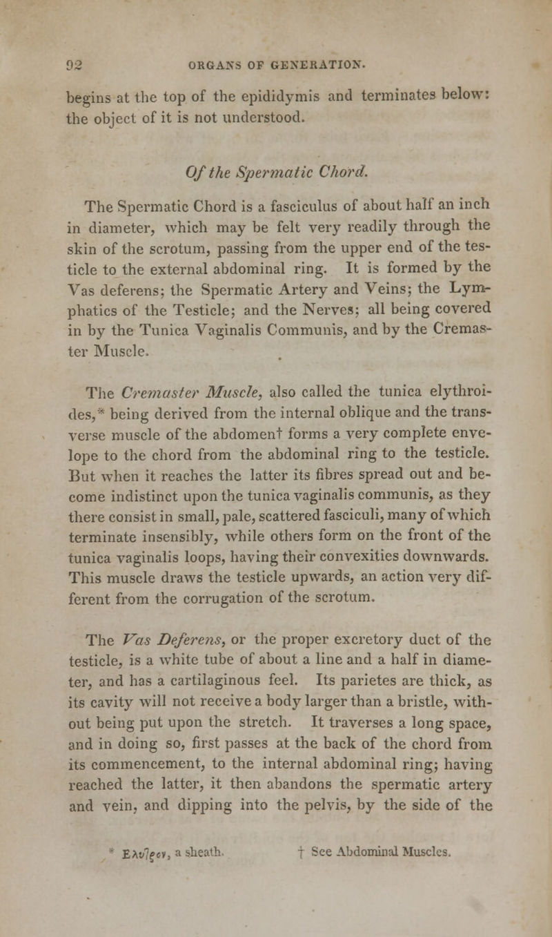 begins at the top of the epididymis and terminates below: the object of it is not understood. Of the Spermatic Cho?'d. The Spermatic Chord is a fasciculus of about half an inch in diameter, which may be felt very readily through the skin of the scrotum, passing from the upper end of the tes- ticle to the external abdominal ring. It is formed by the Vas deferens; the Spermatic Artery and Veins; the Lym- phatics of the Testicle; and the Nerves; all being covered in by the Tunica Vaginalis Communis, and by the Cremas- ter Muscle. The Cremaster Muscle, also called the tunica elythroi- des,'* being derived from the internal oblique and the trans- verse muscle of the abdoment forms a very complete enve- lope to the chord from the abdominal ring to the testicle. But when it reaches the latter its fibres spread out and be- come indistinct upon the tunica vaginalis communis, as they there consist in small, pale, scattered fasciculi, many of which terminate insensibly, while others form on the front of the tunica vaginalis loops, having their convexities downwards. This muscle draws the testicle upwards, an action very dif- ferent from the corrugation of the scrotum. The Vas Deferens, or the proper excretory duct of the testicle, is a white tube of about a line and a half in diame- ter, and has a cartilaginous feel. Its parietes are thick, as its cavity will not receive a body larger than a bristle, with- out being put upon the stretch. It traverses a long space, and in doing so, first passes at the back of the chord from its commencement, to the internal abdominal ring; having reached the latter, it then abandons the spermatic artery and vein, and dipping into the pelvis, by the side of the ' EAt/>ti, a sheath. f See Abdominal Muscles.