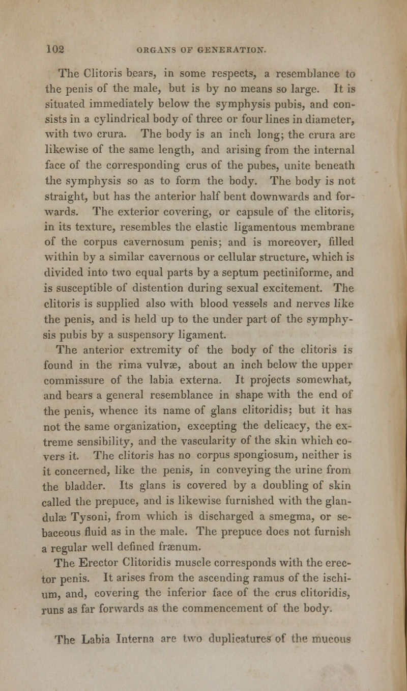 The Clitoris bears, in some respects, a resemblance to the penis of the male, but is by no means so large. It is situated immediately below the symphysis pubis, and con- sists in a cylindrical body of three or four lines in diameter, with two crura. The body is an inch long; the crura are likewise of the same length, and arising from the internal face of the corresponding crus of the pubes, unite beneath the symphysis so as to form the body. The body is not straight, but has the anterior half bent downwards and for- wards. The exterior covering, or capsule of the clitoris, in its texture, resembles the elastic ligamentous membrane of the corpus cavernosum penis; and is moreover, fdled within by a similar cavernous or cellular structure, which is divided into two equal parts by a septum pectiniforme, and is susceptible of distention during sexual excitement. The clitoris is supplied also with blood vessels and nerves like the penis, and is held up to the under part of the symphy- sis pubis by a suspensory ligament. The anterior extremity of the body of the clitoris is found in the rima vulvae, about an inch below the upper commissure of the labia externa. It projects somewhat, and bears a general resemblance in shape with the end of the penis, whence its name of glans clitoridis; but it has not the same organization, excepting the delicacy, the ex- treme sensibility, and the vascularity of the skin which co- vers it. The clitoris has no corpus spongiosum, neither is it concerned, like the penis, in conveying the urine from the bladder. Its glans is covered by a doubling of skin called the prepuce, and is likewise furnished with the glan- dulae Tysoni, from which is discharged a smegma, or se- baceous fluid as in the male. The prepuce does not furnish a regular well defined fraenum. The Erector Clitoridis muscle corresponds with the erec- tor penis. It arises from the ascending ramus of the ischi- um, and, covering the inferior face of the crus clitoridis, runs as far forwards as the commencement of the body. The Labia Interna are two duplicatures of the mucous