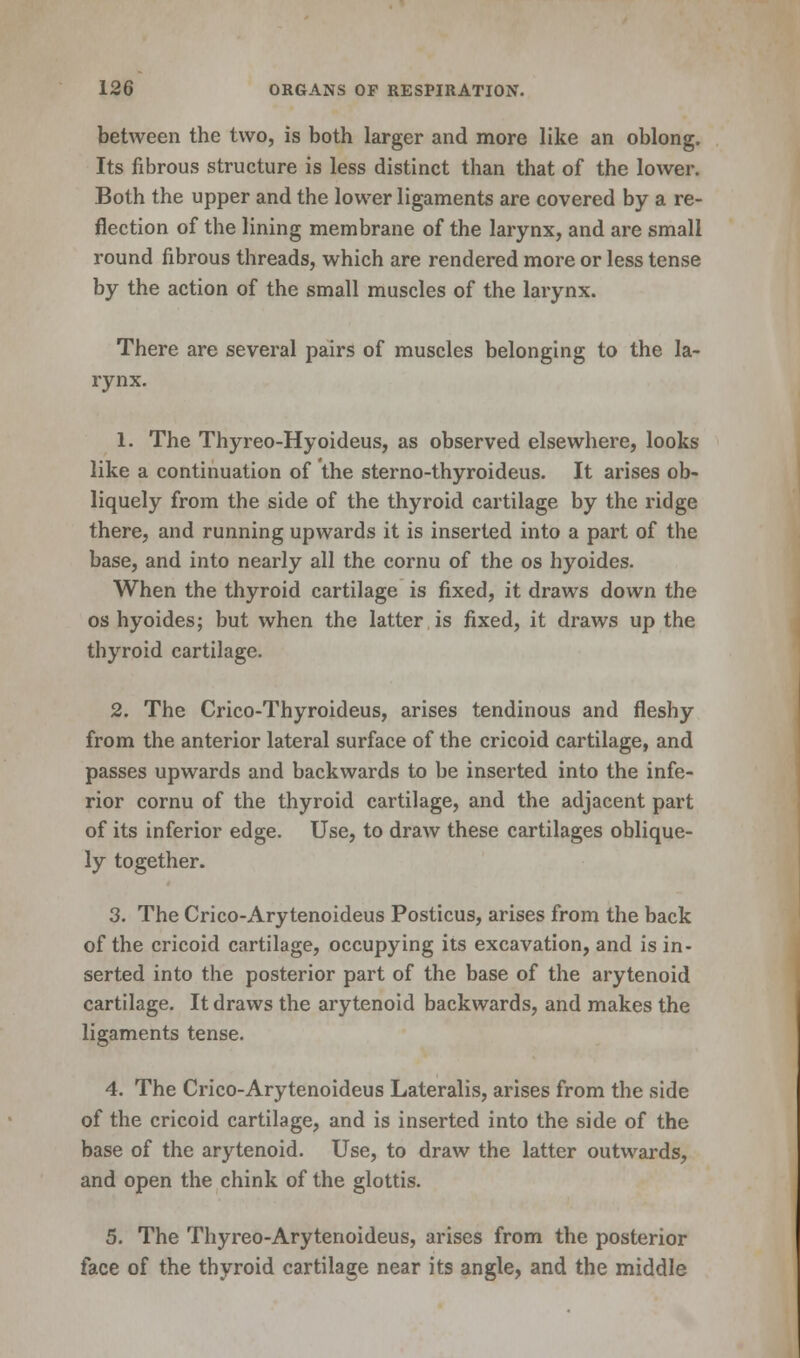 between the two, is both larger and more like an oblong. Its fibrous structure is less distinct than that of the lower. Both the upper and the lower ligaments are covered by a re- flection of the lining membrane of the larynx, and are small round fibrous threads, which are rendered more or less tense by the action of the small muscles of the larynx. There are several pairs of muscles belonging to the la- rynx. 1. The Thyreo-Hyoideus, as observed elsewhere, looks like a continuation of the sterno-thyroideus. It arises ob- liquely from the side of the thyroid cartilage by the ridge there, and running upwards it is inserted into a part of the base, and into nearly all the cornu of the os hyoides. When the thyroid cartilage is fixed, it draws down the os hyoides; but when the latter is fixed, it draws up the thyroid cartilage. 2. The Crico-Thyroideus, arises tendinous and fleshy from the anterior lateral surface of the cricoid cartilage, and passes upwards and backwards to be inserted into the infe- rior cornu of the thyroid cartilage, and the adjacent part of its inferior edge. Use, to draw these cartilages oblique- ly together. 3. The Crico-Arytenoideus Posticus, arises from the back of the cricoid cartilage, occupying its excavation, and is in- serted into the posterior part of the base of the arytenoid cartilage. It draws the arytenoid backwards, and makes the ligaments tense. 4. The Crico-Arytenoideus Lateralis, arises from the side of the cricoid cartilage, and is inserted into the side of the base of the arytenoid. Use, to draw the latter outwards, and open the chink of the glottis. 5. The Thyreo-Arytenoideus, arises from the posterior face of the thyroid cartilage near its angle, and the middle