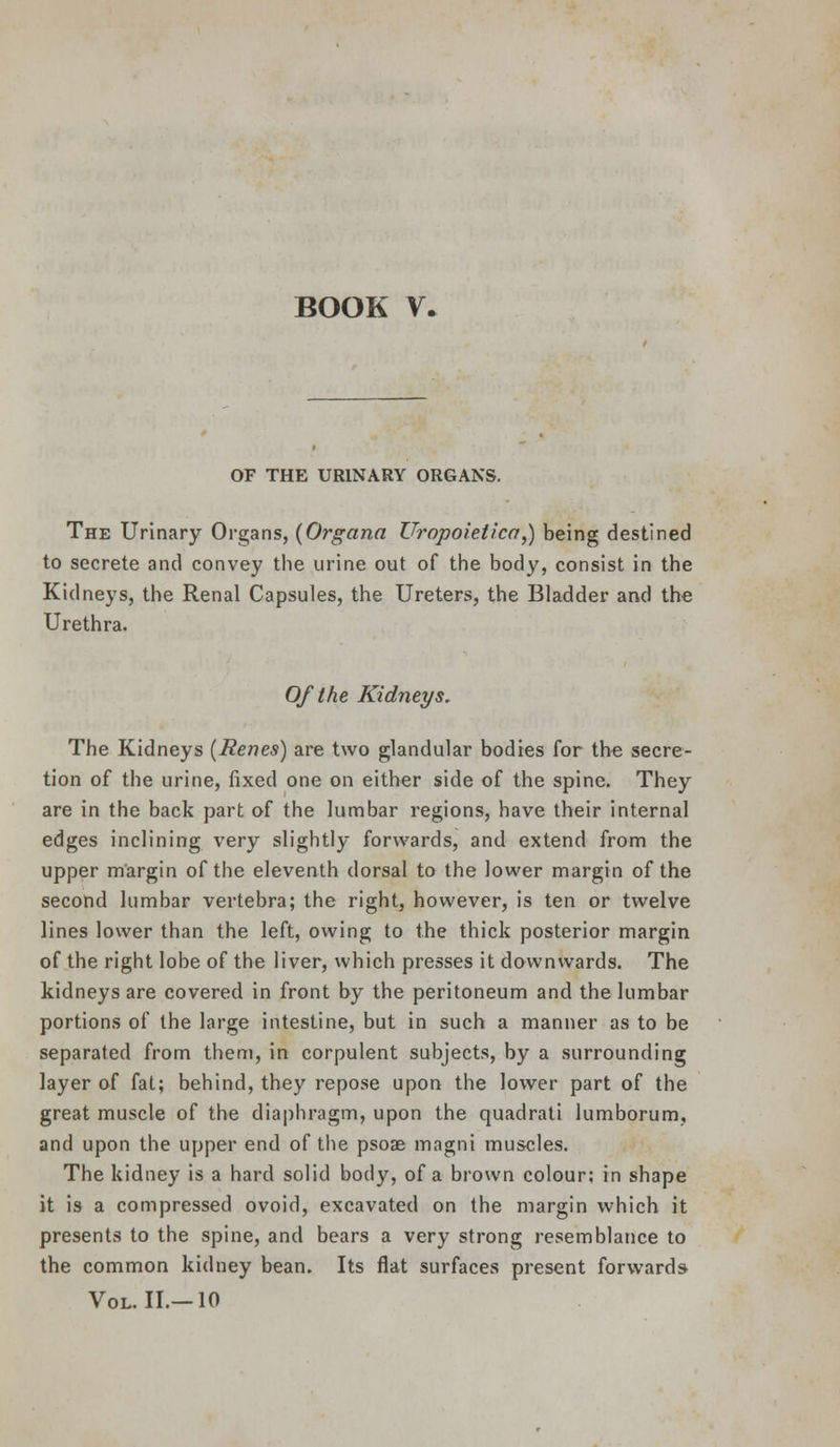 BOOK y. OF THE URINARY ORGANS. The Urinary Organs, {Organa Uropoietica^ being destined to secrete and convey the urine out of the body, consist in the Kidneys, the Renal Capsules, the Ureters, the Bladder and the Urethra. Of the Kidneys. The Kidneys {Renes) are two glandular bodies for the secre- tion of the urine, fixed one on either side of the spine. They are in the back part of the lumbar regions, have their internal edges inclining very slightly forwards, and extend from the upper m'argin of the eleventh dorsal to the lower margin of the second lumbar vertebra; the right, however, is ten or twelve lines lower than the left, owing to the thick posterior margin of the right lobe of the liver, which presses it downwards. The kidneys are covered in front by the peritoneum and the lumbar portions of the large intestine, but in such a manner as to be separated from them, in corpulent subjects, by a surrounding layer of fat; behind, they repose upon the lower part of the great muscle of the diaphragm, upon the quadrati lumborum, and upon the upper end of the psoae magni muscles. The kidney is a hard solid body, of a brown colour; in shape it is a compressed ovoid, excavated on the margin which it presents to the spine, and bears a very strong resemblance to the common kidney bean. Its flat surfaces present forwards Vol. II.—10