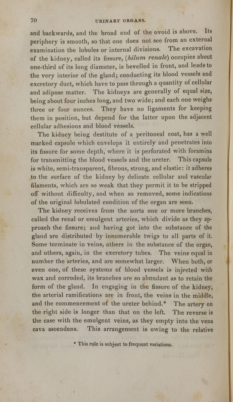 and backwards, and the broad end of the ovoid is above. Its periphery is smooth, so that one does not see from an external examination the lobules or internal divisions. The excavation of the kidney, called its fissure, {hiliim renale) occupies about one-third of its long diameter, is bevelled in front, and leads to the very interior of the gland; conducting its blood vessels and excretory duct, which have to pass through a quantity of cellular and adipose matter. The kidneys are generally of equal size, being about four inches long, and two wide; and each one weighs three or four ounces. They have no ligaments for keeping them in position, but depend for the latter upon the adjacent cellular adhesions and blood vessels. The kidney being destitute of a peritoneal coat, has a well marked capsule which envelops it entirely and penetrates into its fissure for some depth, where it is perforated with foramina for transmitting the blood vessels and the ureter. This capsule is white, semi-transparent, fibrous, strong, and elastic: it adheres to the surface of the kidney by delicate cellular and vascular filaments, which are so weak that they permit it to be stripped ofi without difficulty, and when so removed, some indications of the original lobulated condition of the organ are seen. The kidney receives from the aorta one or more branches, called the renal or emulgent arteries, which divide as they ap- proach the fissure; and having got into the substance of the gland are distributed by innumerable twigs to all parts of it. Some terminate in veins, others in the substance of the organ, and others, again, in the excretory tubes. The veins equal in number the arteries, and are somewhat larger. When both, or even one, of these systems of blood vessels is injected with wax and corroded, its branches are so abundant as to retain the form of the gland. In engaging in the fissure of the kidney, the arterial ramifications are in front, the veins in the middle, and the commencement of the ureter behind.* The artery on the right side is longer than that on the left. The reverse is the case with the emulgent veins, as they empty into the vena cava ascendens. This arrangement is owing to the relative • This rule is subject to frequent variations.