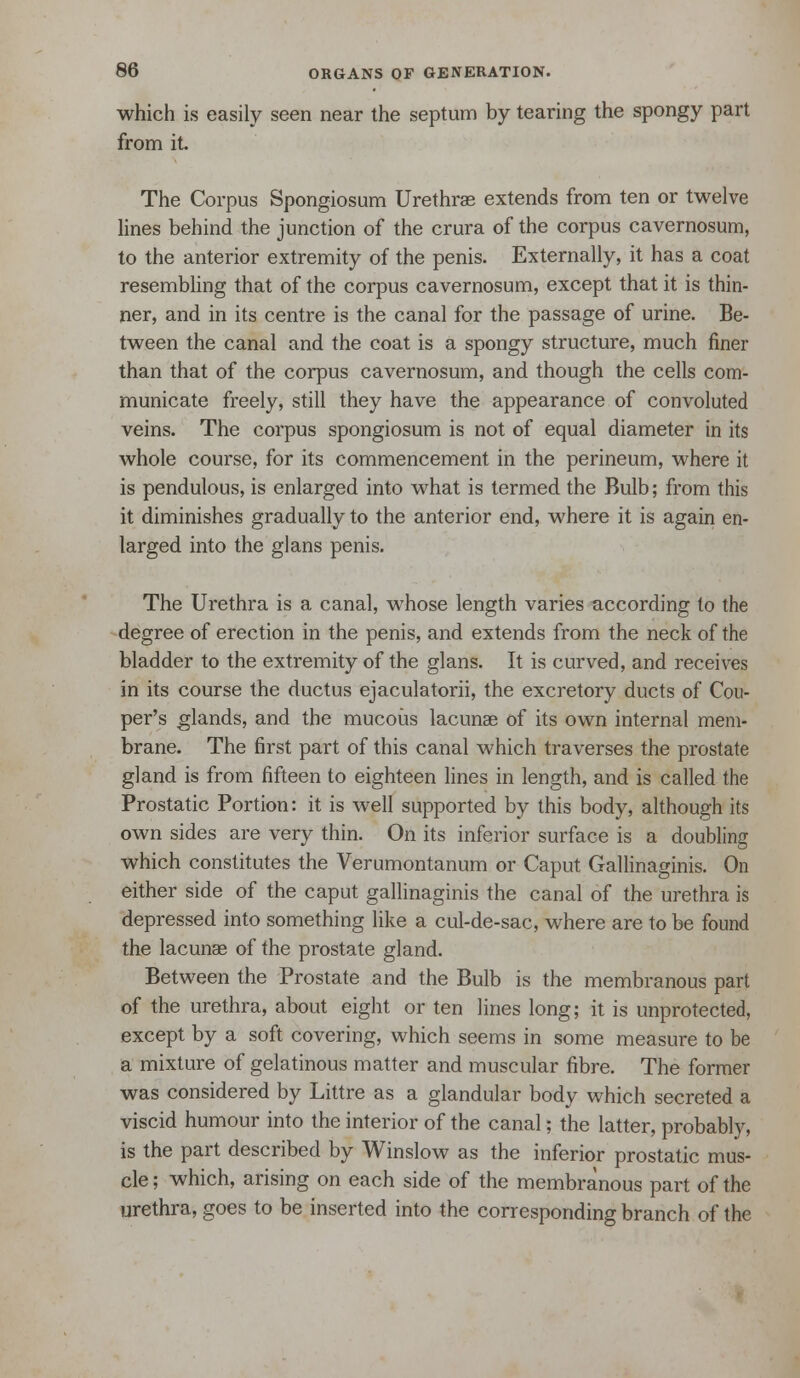 which is easily seen near the septum by tearing the spongy part from it. The Corpus Spongiosum Urethras extends from ten or twelve lines behind the junction of the crura of the corpus cavernosum, to the anterior extremity of the penis. Externally, it has a coat resembling that of the corpus cavernosum, except that it is thin- ner, and in its centre is the canal for the passage of urine. Be- tween the canal and the coat is a spongy structure, much finer than that of the corpus cavernosum, and though the cells com- municate freely, still they have the appearance of convoluted veins. The corpus spongiosum is not of equal diameter in its whole course, for its commencement in the perineum, where it is pendulous, is enlarged into what is termed the Bulb; from this it diminishes gradually to the anterior end, where it is again en- larged into the glans penis. The Urethra is a canal, whose length varies according to the degree of erection in the penis, and extends from the neck of the bladder to the extremity of the glans. It is curved, and receives in its course the ductus ejaculatorii, the excretory ducts of Cou- per's glands, and the mucoiis lacunae of its own internal mem- brane. The first part of this canal which traverses the prostate gland is from fifteen to eighteen lines in length, and is called the Prostatic Portion: it is well supported by this body, although its own sides are very thin. On its inferior surface is a doubling which constitutes the Verumontanum or Caput Gallinaginis. On either side of the caput gallinaginis the canal of the urethra is depressed into something like a cul-de-sac, where are to be found the lacunae of the prostate gland. Between the Prostate and the Bulb is the membranous part of the urethra, about eight or ten lines long; it is unprotected, except by a soft covering, which seems in some measure to be a mixture of gelatinous matter and muscular fibre. The former was considered by Littre as a glandular body which secreted a viscid humour into the interior of the canal; the latter, probably, is the part described by Winslow as the inferior prostatic mus- cle ; which, arising on each side of the membranous part of the urethra, goes to be inserted into the corresponding branch of the
