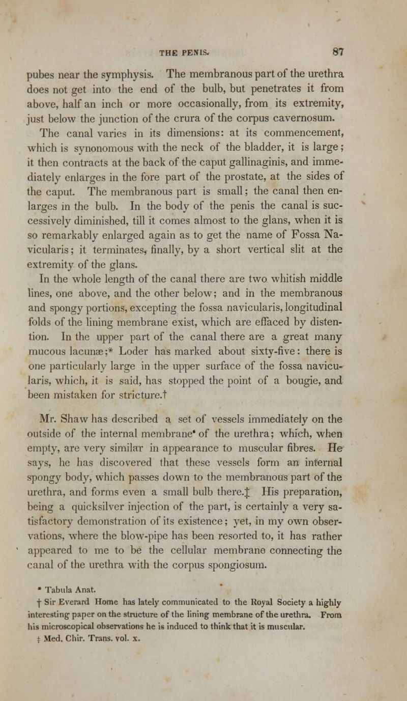 pubes near the symphysis. The membranous part of the urethra does not get into the end of the bulb, but penetrates it from above, half an inch or more occasionally, from its extremity, just below the junction of the crura of the corpus cavernosum. The canal varies in its dimensions: at its commencement, which is synonomous with the neck of the bladder, it is large ; it then contracts at the back of the caput gallinaginis, and imme- diately enlarges in the fore part of the prostate, at the sides of the caput. The membranous part is small; the canal then en- larges in the bulb. In the body of the penis the canal is suc- cessively diminished, till it comes almost to the glans, when it is so remarkably enlarged again as to get the name of Fossa Na- vicularis; it terminates, finally, by a short vertical slit at the extremity of the glans. In the whole length of the canal there are two whitish middle lines, one above, and the other below; and in the membranous and spongy portions, excepting the fossa navicularis, longitudinal folds of the lining membrane exist, which are effaced by disten- tion. In the upper part of the canal there are a great many mucous lacunae ;* Loder has marked about sixty-five: there is one particularly large in the upper surface of the fossa navicu- laris, which, it is said, has stopped the point of a bougie, and been mistaken for stricture.t Mr. Shaw has described a set of vessels immediately on the outside of the internal membrane* of the urethra; which, when empty, are very similaT in appearance to muscular fibres. He says, he has discovered that these vessels form an internal spongy body, which passes down to the membranous part of the urethra, and forms even a small bulb there.J His preparation, being a quicksilver injection of the part, is certainly a very sa- tisfactory demonstration of its existence; yet, in my own obser- vations, where the blow-pipe has been resorted to, it has rather appeared to me to be the cellular membrane connecting the canal of the urethra with the corpus spongiosum. • Tabula Anat. •(■ Sir Everai-d Home has lately communicated to the Royal Society a highly interesting- paper on the structure of the lining membrane of the urethra. From his microscopical observations he is induced to think that it is muscular. t Med. Chir. Trans, vol. x.