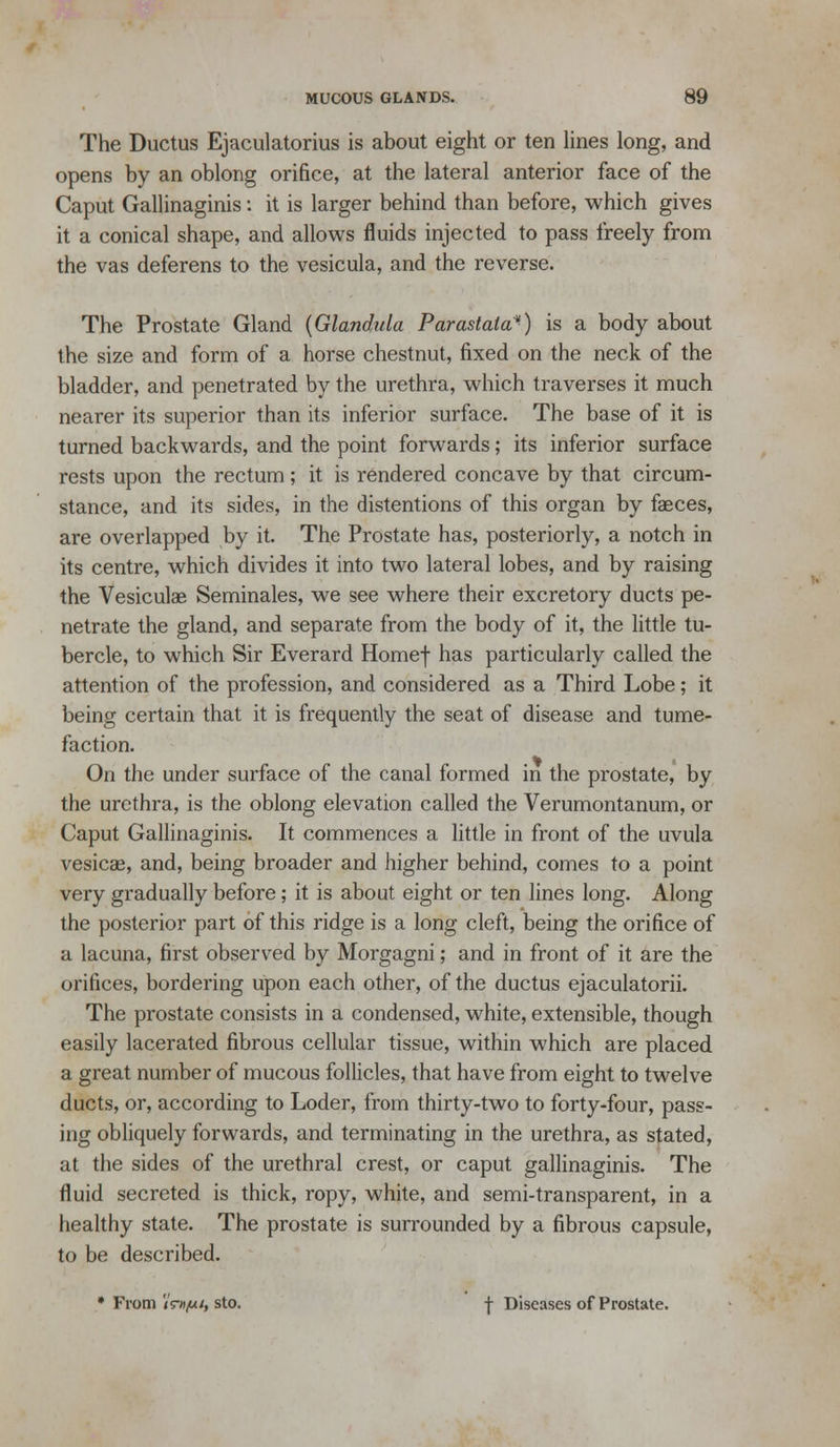 The Ductus Ejaculatorius is about eight or ten Hnes long, and opens by an oblong orifice, at the lateral anterior face of the Caput Gallinaginis: it is larger behind than before, which gives it a conical shape, and allows fluids injected to pass freely fronn the vas deferens to the vesicula, and the reverse. The Prostate Gland {Glandnla Parastata) is a body about the size and form of a horse chestnut, fixed on the neck of the bladder, and penetrated by the urethra, which traverses it much nearer its superior than its inferior surface. The base of it is turned backwards, and the point forwards; its inferior surface rests upon the rectum; it is rendered concave by that circum- stance, and its sides, in the distentions of this organ by faeces, are overlapped by it. The Prostate has, posteriorly, a notch in its centre, which divides it into two lateral lobes, and by raising the Vesiculae Seminales, we see where their excretory ducts pe- netrate the gland, and separate from the body of it, the little tu- bercle, to which Sir Everard Homef has particularly called the attention of the profession, and considered as a Third Lobe; it being certain that it is frequently the seat of disease and tume- faction. On the under surface of the canal formed in the prostate, by the urethra, is the oblong elevation called the Verumontanum, or Caput Gallinaginis. It commences a little in front of the uvula vesicai, and, being broader and higher behind, comes to a point very gradually before; it is about eight or ten lines long. Along the posterior part of this ridge is a long cleft, being the orifice of a lacuna, first observed by Morgagni; and in front of it are the orifices, bordering upon each other, of the ductus ejaculatorii. The prostate consists in a condensed, white, extensible, though easily lacerated fibrous cellular tissue, within which are placed a great number of mucous follicles, that have from eight to twelve ducts, or, according to Loder, from thirty-two to forty-four, pass- ing obliquely forwards, and terminating in the urethra, as stated, at the sides of the urethral crest, or caput gallinaginis. The fluid secreted is thick, ropy, white, and semi-transparent, in a healthy state. The prostate is surrounded by a fibrous capsule, to be described. • From <V«(U/, sto. -j- Diseases of Prostate.