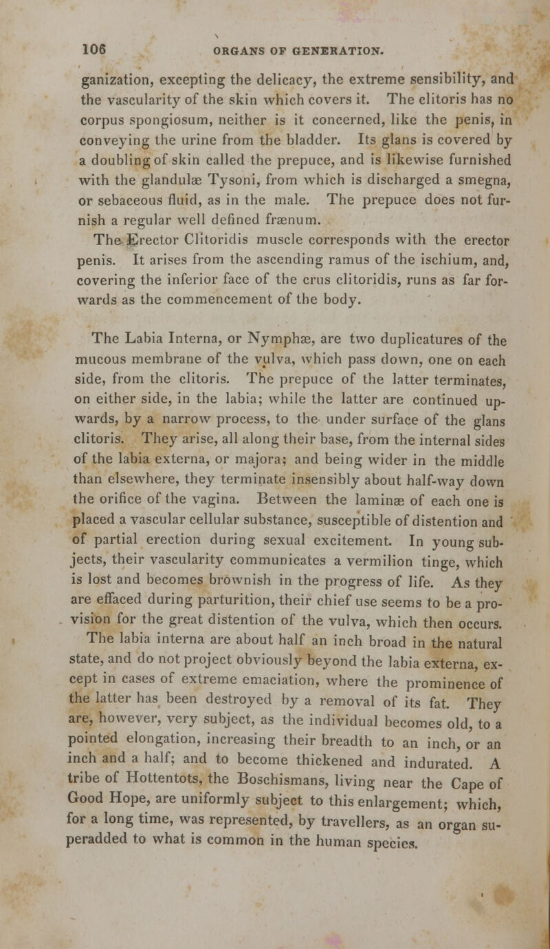 ganization, excepting the delicacy, the extreme sensibility, and the vascularity of the skin which covers it. The clitoris has no corpus spongiosum, neither is it concerned, like the penis, in conveying the urine from the bladder. Its glans is covered by a doubling of skin called the prepuce, and is likewise furnished with the glandulae Tysoni, from which is discharged a smegna, or sebaceous fluid, as in the male. The prepuce does not fur- nish a regular well defined fraenum. The Et'ector Clitoridis muscle corresponds with the erector penis. It arises from the ascending ramus of the ischium, and, covering the inferior face of the cms clitoridis, runs as far for- wards as the commencement of the body. The Labia Interna, or Nymphse, are two duplicatures of the mucous membrane of the vulva, which pass down, one on each side, from the clitoris. The prepuce of the latter terminates, on either side, in the labia; while the latter are continued up- wards, by a narrow process, to the under surface of the glans clitoris. They arise, all along their base, from the internal sides of the labia externa, or majora; and being wider in the middle than elsewhere, they terminate insensibly about half-way down the orifice of the vagina. Between the laminae of each one is placed a vascular cellular substance, susceptible of distention and of partial erection during sexual excitement. In young sub- jects, their vascularity communicates a vermilion tinge, which is lost and becomes brownish in the progress of life. As they are effaced during parturition, their chief use seems to be a pro- vision for the great distention of the vulva, which then occurs. The labia interna are about half an inch broad in the natural state, and do not project obviously beyond the labia externa, ex- cept in cases of extreme emaciation, where the prominence of the latter has been destroyed by a removal of its fat. They are, however, very subject, as the individual becomes old, to a pointed elongation, increasing their breadth to an inch, or an inch and a half; and to become thickened and indurated. A tribe of Hottentots, the Boschismans, living near the Cape of Good Hope, are uniformly subject to this enlargement; which, for a long time, was represented, by travellers, as an organ su- peradded to what is common in the human species.