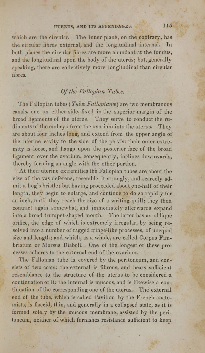 which are the circular. The inner plane, on the contrary, has the circular fibres external, and the longitudinal internal. In both planes the circular fibres are more abundant at the fundus, and the longitudinal upon the body of the uterus; but, generally speaking, there are collectively more longitudinal than circular fibres. Of the Fallopian Tubes. The Fallopian \.\x\ies{Tuhse Fallopianse) are two membranous canals, one on either side, fixed in the superior margin of the broad ligaments of the uterus. They serve to conduct the ru- diments of the embryo from the ovarium into the uterus. They are about four inches long, and extend from the upper angle of the uterine cavity to the side of the pelvis: their outer extre- mity is loose, and hangs upon the posterior face of the broad ligament over the ovarium, consequently, inclines downwards, thereby forming an angle with the other portion. At their uterine extremities the Fallopian tubes are about the size of the vas deferens, resemble it strongly, and scarcely ad- mit a hog's bristle; but having proceeded about one-half of their length, they begin to enlarge, and continue to do so rapidly for an inch, until they reach the size of a writing-quill; they then contract again somewhat, and immediately afterwards expand into a broad trumpet-shaped mouth. The latter has an oblique orifice, the edge of which is extremely irregular, by being re- solved into a number of ragged fringe-like processes, of unequal size and length; and which, as a whole, are called Corpus Fim- briatum or Morsus Diaboli. One of the longest of these pro- cesses adheres to the external end of the ovarium. The Fallopian tube is covered by the peritoneum, and con- sists of two coats: the external is fibrous, and bears sufiicient resemblance to the structure of the uterus to be considered a continuation of it; the internal is mucous, and is likewise a con- tinuation of the corresponding one of the uterus. The external end of the tube, which is called Pavilion by the French anato- mists, is flaccid, thin, and generally in a collapsed state, as it is formed solely by the mucous membrane, assisted by the peri- toneum, neither of which furnishes resistance sufficient to keep