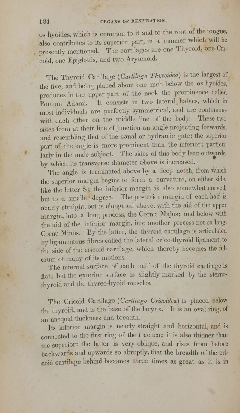 OS hyoides, which is common to it and to the root of the tongue, also contributes to its superior part, in a manner which will be presently mentioned. The cartilages are one Thyroid, one Cri- coid, one Epiglottis, and two Arytenoid. The Thyroid Cartilage {Cartilago Thyroidea) is the largest of the five, and being placed about one inch below the os hyoides, produces in the upper part of the neck the prominence called Pomum Adami. It consists in two lateral halves, which in most individuals are perfectly symmetrical, and are continuous with each other on the middle line of the body. These two sides form at their line of junction an angle projecting forwards, and resembling that of the canal or hydraulic gate: the superior part of the angle is more prominent than the inferior; particu- larly in the male subject. The sides of this body lean outwards, by which its transverse diameter above is increased. The angle is terminated above by a deep notch, from which the superior margin begins to form a curvature, on either side, hke the letter S; the inferior margin is also somewhat curved, but to a smaller degree. The posterior margin of each half is nearly straight, but is elongated above, with the aid of the upper margin, into a long process, the Cornu Majus; and below with the aid of the inferior margin, into another process not so long, Cornu Minus. By the latter, the thyroid cartilage is articulated by ligamentous fibres called the lateral crico-thyroid ligament, to the side of the cricoid cartilage, which thereby becomes the ful- crum of many of its motions. The internal surface of each half of the thyroid cartilage is flat; but the exterior surface is slightly marked by the sterno- thyroid and the thyreo-hyoid muscles. The Cricoid Cartilage {Cartilago Cricoidea) is placed below the thyroid, and is the base of the larynx. It is an oval ring, of an unequal thickness and breadth. Its inferior margin is nearly straight and horizontal, and is connected to the first ring of the trachea; it is also thinner than the superior: the latter is very oblique, and rises from before backwards and upwards so abruptly, that the breadth of the cri- coid cartilage behind becomes three times as great as it is in