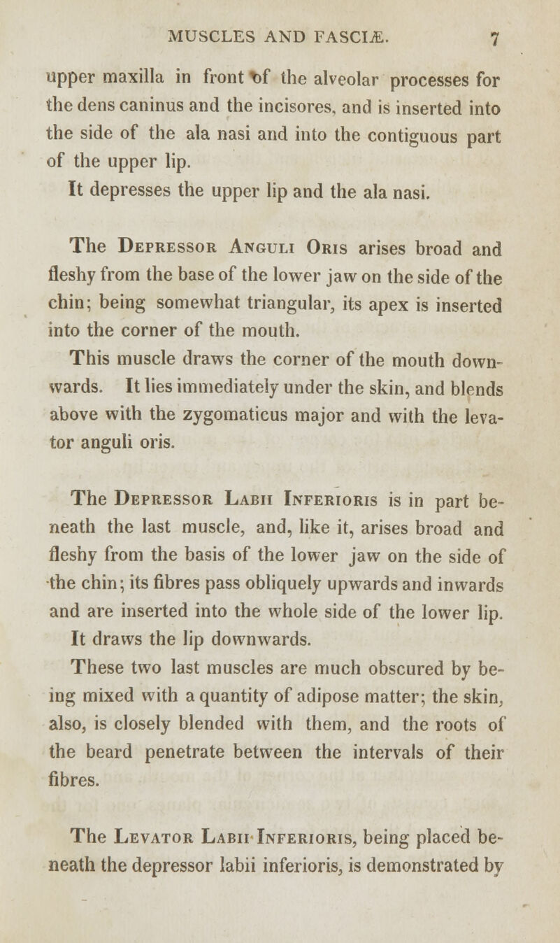 upper maxilla in front t)f the alveolar processes for the dens caninus and the incisores, and is inserted into the side of the ala nasi and into the contiguous part of the upper lip. It depresses the upper lip and the ala nasi. The Depressor Anguli Oris arises broad and fleshy from the base of the lower jaw on the side of the chin; being somewhat triangular, its apex is inserted into the corner of the mouth. This muscle draws the corner of the mouth down- wards. It lies immediately under the skin, and blends above with the zygomaticus major and with the leva- tor anguli oris. The Depressor Labii Inferioris is in part be- neath the last muscle, and, like it, arises broad and fleshy from the basis of the lower jaw on the side of the chin; its fibres pass obliquely upwards and inwards and are inserted into the whole side of the lower lip. It draws the lip downwards. These two last muscles are much obscured by be- ing mixed with a quantity of adipose matter; the skin, also, is closely blended with them, and the roots of the beard penetrate between the intervals of their fibres. The Levator Labii Inferioris, being placed be- neath the depressor labii inferioris, is demonstrated by