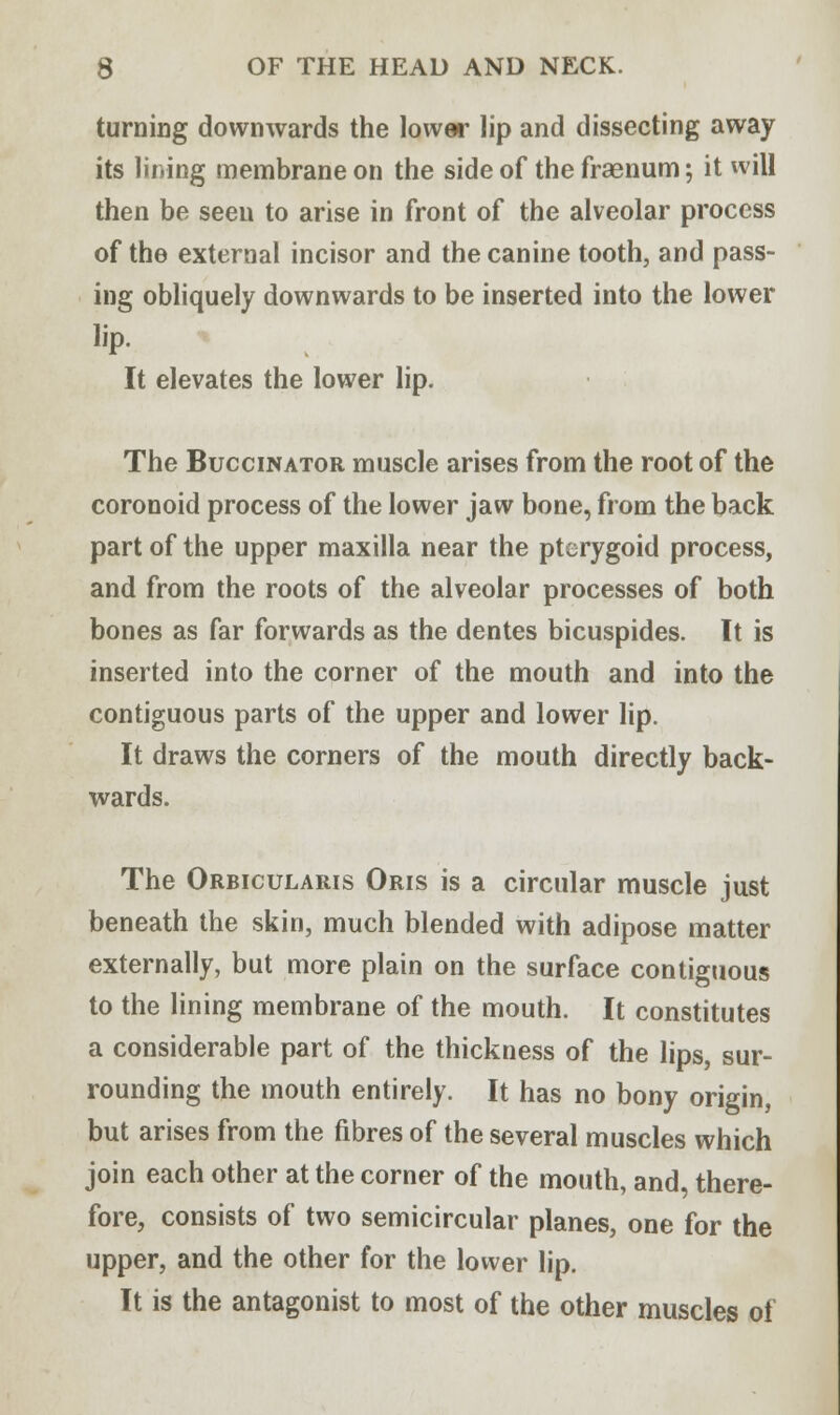 turning downwards the lower lip and dissecting away its lining membrane on the side of the fraenum; it vvill then be seen to arise in front of the alveolar process of the external incisor and the canine tooth, and pass- ing obliquely downwards to be inserted into the lower Kp. It elevates the lower lip. The Buccinator muscle arises from the root of the coronoid process of the lower jaw bone, from the back part of the upper maxilla near the pterygoid process, and from the roots of the alveolar processes of both bones as far forwards as the dentes bicuspides. It is inserted into the corner of the mouth and into the contiguous parts of the upper and lower lip. It draws the corners of the mouth directly back- wards. The Orbicularis Oris is a circular muscle just beneath the skin, much blended with adipose matter externally, but more plain on the surface contiguous to the lining membrane of the mouth. It constitutes a considerable part of the thickness of the lips, sur- rounding the mouth entirely. It has no bony origin, but arises from the fibres of the several muscles which join each other at the corner of the mouth, and there- fore, consists of two semicircular planes, one for the upper, and the other for the lower lip. It is the antagonist to most of the other muscles of