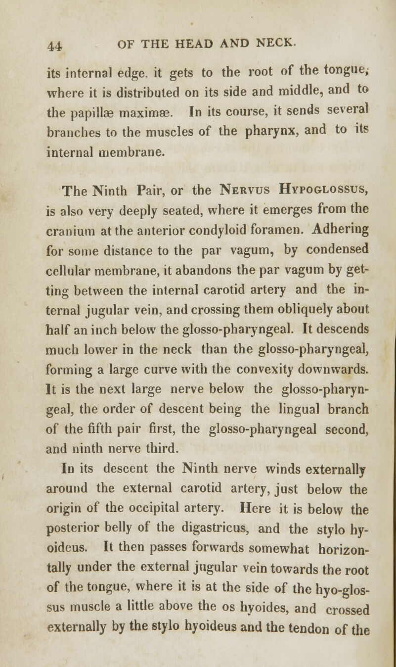 its internal edge, it gets to the root of the tongue; where it is distributed on its side and middle, and to the papillae maximae. In its course, it sends several branches to the muscles of the pharynx, and to its internal membrane. The Ninth Pair, or the Nervus Hypoglossus, is also very deeply seated, where it emerges from the cranium at the anterior condyloid foramen. Adhering for some distance to the par vagum, by condensed cellular membrane, it abandons the par vagum by get- ting between the internal carotid artery and the in- ternal jugular vein, and crossing them obliquely about half an inch below the glossopharyngeal. It descends much lower in the neck than the glossopharyngeal, forming a large curve with the convexity downwards. It is the next large nerve below the glosso-pharyn- geal, the order of descent being the lingual branch of the fifth pair first, the glosso-pharyngeal second, and ninth nerve third. In its descent the Ninth nerve winds externally around the external carotid artery, just below the origin of the occipital artery. Here it is below the posterior belly of the digastricus, and the stylo hy- oideus. It then passes forwards somewhat horizon- tally under the external jugular vein towards the root of the tongue, where it is at the side of the hyo-glos- sus muscle a little above the os hyoides, and crossed externally by the stylo hyoideus and the tendon of the