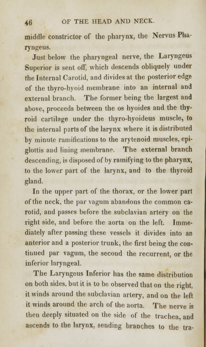middle constrictor of the pharynx, the Nervus Pha- ryngeus. Just below the pharyngeal nerve, the Laryngeus Superior is sent off, which descends obliquely under the Internal Carotid, and divides at the posterior edge of the thyro-hyoid membrane into an internal and external branch. The former being the largest and above, proceeds between the os hyoides and the thy- roid cartilage under the thyro-hyoideus muscle, to the internal parts of the larynx where it is distributed by minute ramifications to the arytenoid muscles, epi- glottis and lining membrane. The external branch descending, is disposed of by ramifying to the pharynx, to the lower part of the larynx, and to the thyroid gland. In the upper part of the thorax, or the lower part of the neck, the par vagum abandons the common ca- rotid, and passes before the subclavian artery on the right side, and before the aorta on the left. Imme- diately after passing these vessels it divides into an anterior and a posterior trunk, the first being the con- tinued par vagum, the second the recurrent, or the inferior laryngeal. The Laryngeus Inferior has the same distribution on both sides, but it is to be observed that on the right, it winds around the subclavian artery, and on the left it winds around the arch of the aorta. The nerve is then deeply situated on the side of the trachea and ascends to the larynx, sending branches to the tra-
