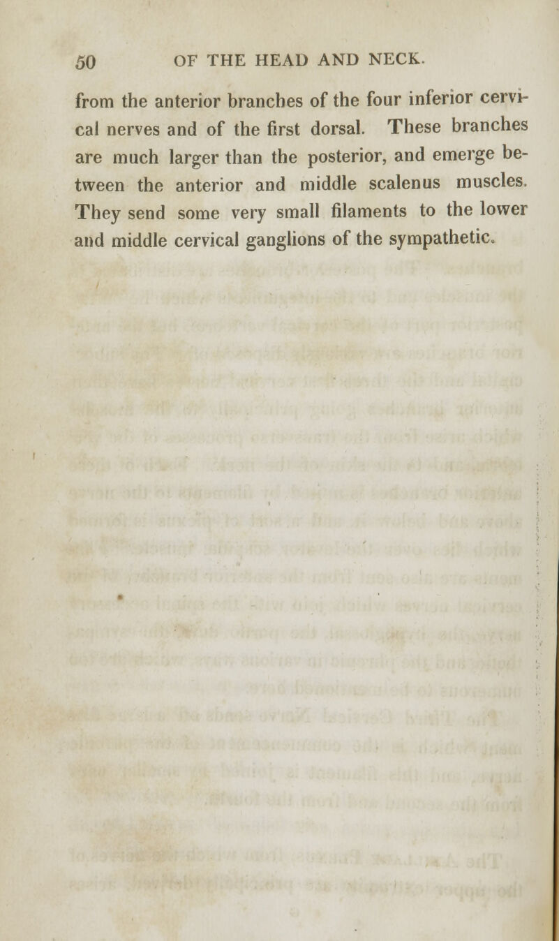 from the anterior branches of the four inferior cervi- cal nerves and of the first dorsal. These branches are much larger than the posterior, and emerge be- tween the anterior and middle scalenus muscles. They send some very small filaments to the lower and middle cervical ganglions of the sympathetic.