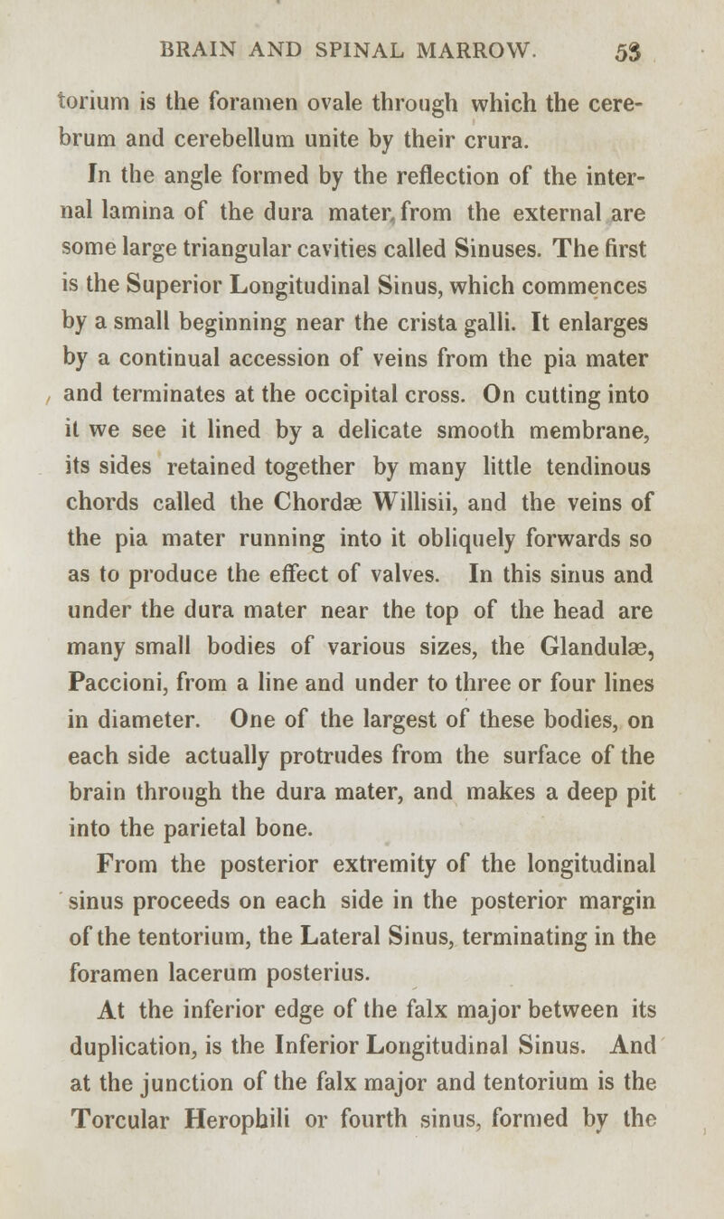 torium is the foramen ovale through which the cere- brum and cerebellum unite by their crura. In the angle formed by the reflection of the inter- nal lamina of the dura mater, from the external are some large triangular cavities called Sinuses. The first is the Superior Longitudinal Sinus, which commences by a small beginning near the crista galli. It enlarges by a continual accession of veins from the pia mater and terminates at the occipital cross. On cutting into it we see it lined by a delicate smooth membrane, its sides retained together by many little tendinous chords called the Chordae Willisii, and the veins of the pia mater running into it obliquely forwards so as to produce the effect of valves. In this sinus and under the dura mater near the top of the head are many small bodies of various sizes, the Glandulas, Paccioni, from a line and under to three or four lines in diameter. One of the largest of these bodies, on each side actually protrudes from the surface of the brain through the dura mater, and makes a deep pit into the parietal bone. From the posterior extremity of the longitudinal sinus proceeds on each side in the posterior margin of the tentorium, the Lateral Sinus, terminating in the foramen lacerum posterius. At the inferior edge of the falx major between its duplication, is the Inferior Longitudinal Sinus. And at the junction of the falx major and tentorium is the Torcular Herophili or fourth sinus, formed by the