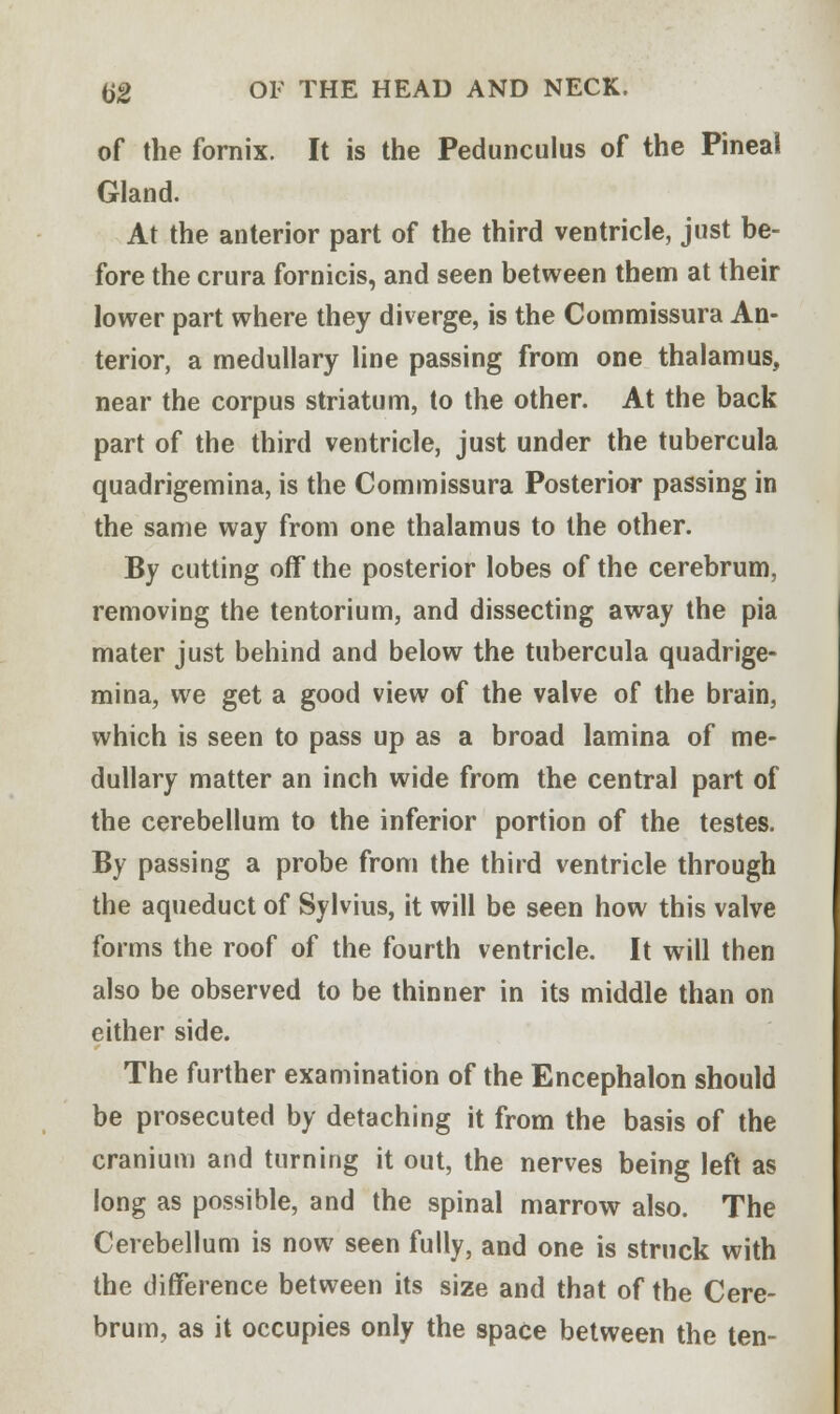 of the fornix. It is the Pedunculus of the Pineal Gland. At the anterior part of the third ventricle, just be- fore the crura fornicis, and seen between them at their lower part where they diverge, is the Commissura An- terior, a medullary line passing from one thalamus, near the corpus striatum, to the other. At the back part of the third ventricle, just under the tubercula quadrigemina, is the Commissura Posterior passing in the same way from one thalamus to the other. By cutting off the posterior lobes of the cerebrum, removing the tentorium, and dissecting away the pia mater just behind and below the tubercula quadrige- mina, we get a good view of the valve of the brain, which is seen to pass up as a broad lamina of me- dullary matter an inch wide from the central part of the cerebellum to the inferior portion of the testes. By passing a probe from the third ventricle through the aqueduct of Sylvius, it will be seen how this valve forms the roof of the fourth ventricle. It will then also be observed to be thinner in its middle than on either side. The further examination of the Encephalon should be prosecuted by detaching it from the basis of the cranium and turning it out, the nerves being left as long as possible, and the spinal marrow also. The Cerebellum is now seen fully, and one is struck with the difference between its size and that of the Cere- brum, as it occupies only the space between the ten-