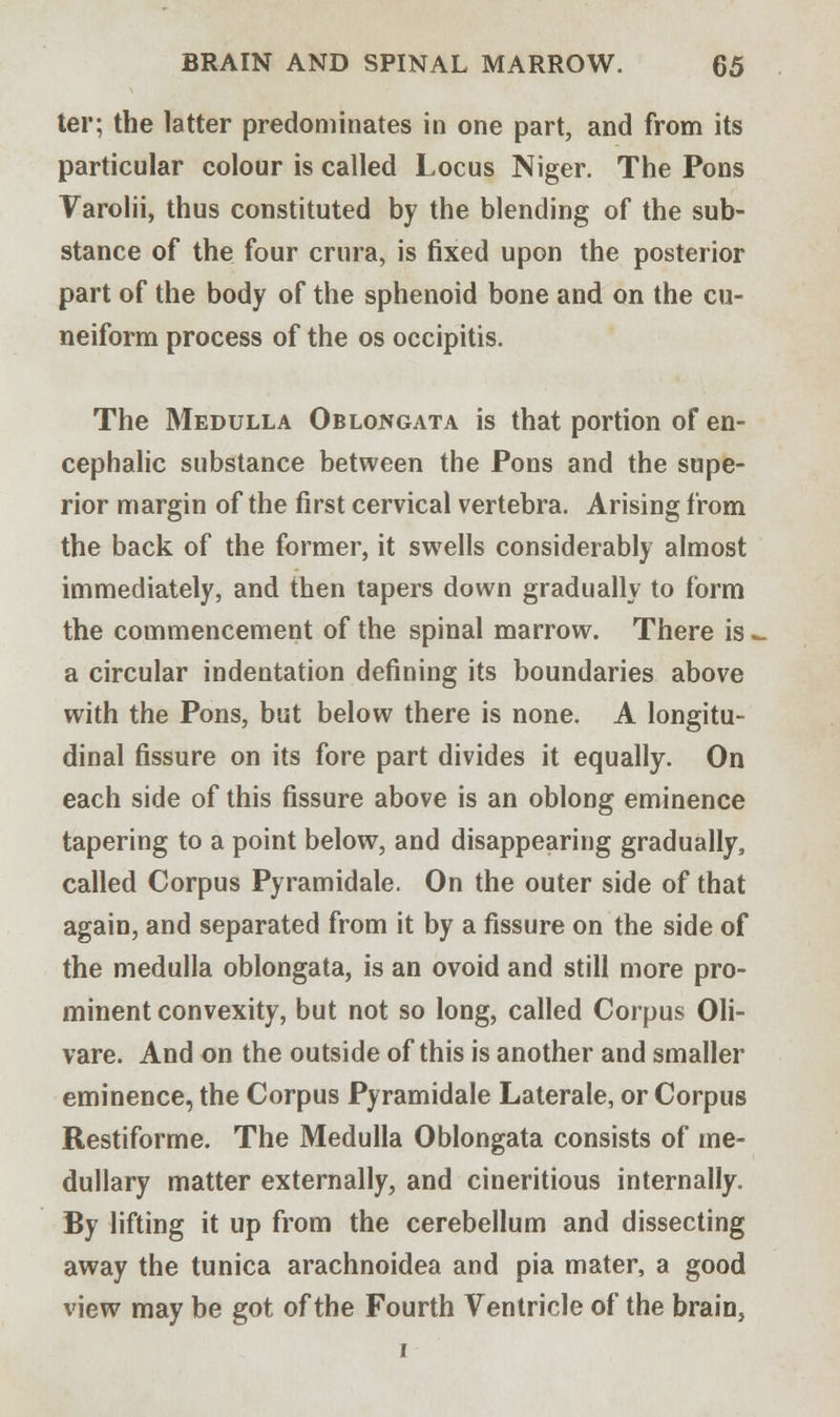ter; the latter predominates in one part, and from its particular colour is called Locus Niger. The Pons Varolii, thus constituted by the blending of the sub- stance of the four crura, is fixed upon the posterior part of the body of the sphenoid bone and on the cu- neiform process of the os occipitis. The Medulla Oblongata is that portion of en- cephalic substance between the Pons and the supe- rior margin of the first cervical vertebra. Arising from the back of the former, it swells considerably almost immediately, and then tapers down gradually to form the commencement of the spinal marrow. There is. a circular indentation defining its boundaries above with the Pons, but below there is none. A longitu- dinal fissure on its fore part divides it equally. On each side of this fissure above is an oblong eminence tapering to a point below, and disappearing gradually, called Corpus Pyramidale. On the outer side of that again, and separated from it by a fissure on the side of the medulla oblongata, is an ovoid and still more pro- minent convexity, but not so long, called Corpus Oli- vare. And on the outside of this is another and smaller eminence, the Corpus Pyramidale Laterale, or Corpus Restiforme. The Medulla Oblongata consists of me- dullary matter externally, and cineritious internally. By lifting it up from the cerebellum and dissecting away the tunica arachnoidea and pia mater, a good view may be got of the Fourth Ventricle of the brain,