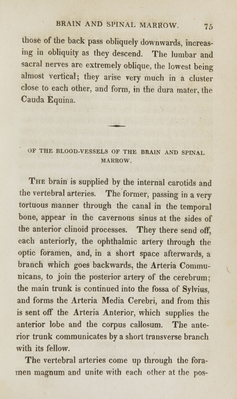 those of the back pass obliquely downwards, increas- ing in obliquity as they descend. The lumbar and sacral nerves are extremely oblique, the lowest being almost vertical; they arise very much in a cluster close to each other, and form, in the dura mater, the Cauda Equina. OF THE BLOOD-VESSELS OF THE BRAIN AND SPINAL MARROW. The brain is supplied by the internal carotids and the vertebral arteries. The former, passing in a very tortuous manner through the canal in the temporal bone, appear in the cavernous sinus at the sides of the anterior clinoid processes. They there send off, each anteriorly, the ophthalmic artery through the optic foramen, and, in a short space afterwards, a branch which goes backwards, the Arteria Commu- nicans, to join the posterior artery of the cerebrum; the main trunk is continued into the fossa of Sylvius, and forms the Arteria Media Cerebri, and from this is sent off the Arteria Anterior, which supplies the anterior lobe and the corpus callosum. The ante- rior trunk communicates by a short transverse branch with its fellow. The vertebral arteries come up through the fora- men magnum and unite with each other at the pos-