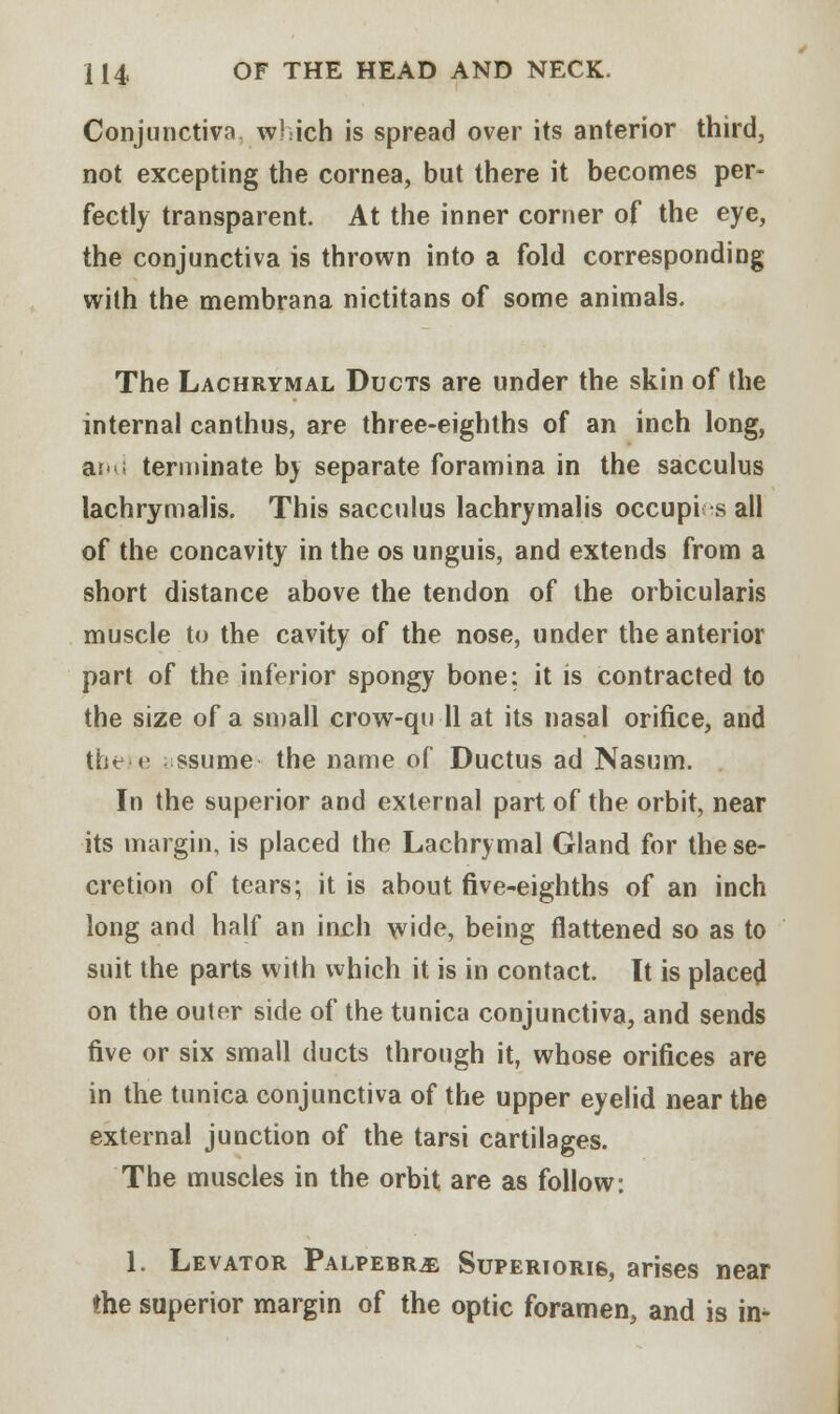 Conjunctiva which is spread over its anterior third, not excepting the cornea, but there it becomes per- fectly transparent. At the inner corner of the eye, the conjunctiva is thrown into a fold corresponding with the membrana nictitans of some animals. The Lachrymal Ducts are under the skin of the internal canthus, are three-eighths of an inch long, arui terminate b) separate foramina in the sacculus lachrymalis. This sacculus lachrymalis occupies all of the concavity in the os unguis, and extends from a short distance above the tendon of the orbicularis muscle to the cavity of the nose, under the anterior part of the inferior spongy bone: it is contracted to the size of a small crow-qti 11 at its nasal orifice, and the re ssume the name of Ductus ad Nasum. In the superior and external part of the orbit, near its margin, is placed the Lachrymal Gland for the se- cretion of tears; it is about five-eighths of an inch long and half an inch wide, being flattened so as to suit the parts with which it is in contact. It is placed on the outer side of the tunica conjunctiva, and sends five or six small ducts through it, whose orifices are in the tunica conjunctiva of the upper eyelid near the external junction of the tarsi cartilages. The muscles in the orbit are as follow: 1. Levator Palpebral Superiors, arises near the superior margin of the optic foramen, and is in-