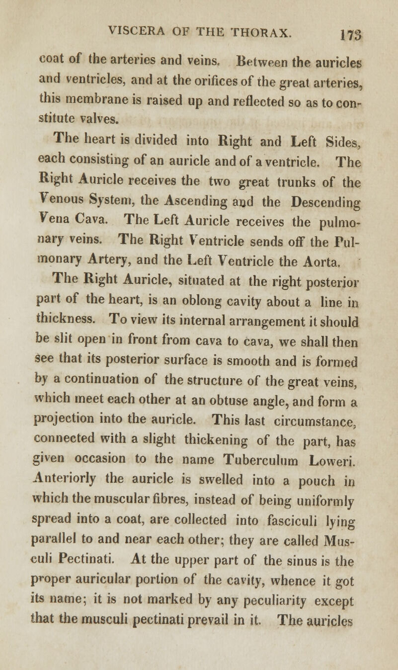 coat of the arteries and veins. Between the auricles and ventricles, and at the orifices of the great arteries, this membrane is raised up and reflected so as to con- stitute valves. The heart is divided into Right and Left Sides, each consisting of an auricle and of a ventricle. The Right Auricle receives the two great trunks of the Venous System, the Ascending and the Descending Vena Cava. The Left Auricle receives the pulmo- nary veins. The Right Ventricle sends oflF the Pul- monary Artery, and the Left Ventricle the Aorta. The Right Auricle, situated at the right posterior part of the heart, is an oblong cavity about a line in thickness. To view its internal arrangement it should be slit open in front from cava to cava, we shall then see that its posterior surface is smooth and is formed by a continuation of the structure of the great veins, which meet each other at an obtuse angle, and form a projection into the auricle. This last circumstance, connected with a slight thickening of the part, has given occasion to the name Tuberculum Loweri. Anteriorly the auricle is swelled into a pouch in which the muscular fibres, instead of being uniformly spread into a coat, are collected into fasciculi lying parallel to and near each other; they are called Mus- culi Pectinati. At the upper part of the sinus is the proper auricular portion of the cavity, whence it got its name; it is not marked by any peculiarity except that the musculi pectinati prevail in it. The auricles