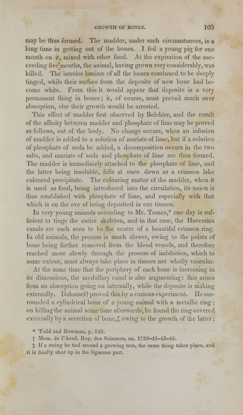 may be thus formed. The madder, under such circumstances, is a long time in getting out of the bones. I fed a young pig for one month on it, mixed with other food. At the expiration of the suc- ceeding five'months, the animal, having grown very considerably, was killed. The interior lamina? of all the bones continued to be deeply tinged, while their surface from the deposite of new bone had be- come white. From this it would appear that deposite is a very permanent thing in bones; it, of course, must prevail much over absorption, else their growth would be arrested. This effect of madder first observed by Belchier, and the result of the affinity between madder and phosphate of lime may be proved as follows, out of the body. No change occurs, when an infusion of madder is added to a solution of muriate of lime, but if a solution of phosphate of soda be added, a decomposition occurs in the two salts, and muriate of soda and phosphate of lime are then formed. The madder is immediately attached to the phosphate of lime, and the latter being insoluble, falls at once down as a crimson lake coloured precipitate. The colouring matter of the madder, when it is used as food, being introduced into the circulation, its union is thus established with phosphate of lime, and especially with that which is on the eve of being deposited in our tissues. In very young animals according to Mr. Tomes,* one clay is suf- ficient to tinge the entire skeleton, and in that case, the Haversian canals are each seen to be the centre of a beautiful crimson ring. In old animals, the process is much slower, owing to the points of bone being farther removed from the blood vessels, and therefore reached more slowly through the process of imbibition, which to some extent, must always take place in tissues not wholly vascular. At the same time that the periphery of each bone is increasing in its dimensions, the medullary canal is also augmenting: this arises from an absorption going on internally, while the deposite is making externally. Duhamelf proved this by a curious experiment. He sur- rounded a cylindrical bone of a young animal with a metallic ring ; on killing the animal sometime afterwards, he found the ring covered externally by a secretion of bone,| owing to the growth of the latter; * Todd and Bowman, p. 123. f Mem. de l'Acad. Roy. des Sciences, an. 1739-41-43-46. £ If a string be tied around a growing tree, the same thing takes place, and it is finally shut up in the ligneous part.