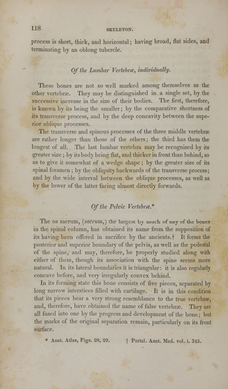 process is short, thick, and horizontal; having broad, flat sides, and terminating by an oblong tubercle. Of the Lumbar Vertebra, individually. These bones are not so well marked among themselves as the other vertebrae. They may be distinguished in a single set, by the successive increase in the size of their bodies. The first, therefore, is known by its being the smaller; by the comparative shortness of its transverse process, and by the deep concavity between the supe- rior oblique processes. The transverse and spinous processes of the three middle vertebra? are rather longer than those of the others; the third has them the longest of all. The last lumbar vertebra may be recognised by its greater size; by its body being flat, and thicker in front than behind, so as to give it somewhat of a wedge shape ; by the greater size of its spinal foramen; by the obliquity backwards of the transverse process; and by the wide interval between the oblique processes, as well as by the lower of the latter facing almost directly forwards. Of the Pelvic Vertebrce* The os sacrum, [sacrum,,') the largest hy much of any of the bones in the spinal column, has obtained its name from the supposition of its having been offered in sacrifice by the ancients, f It forms the posterior and superior boundary of the pelvis, as well as the pedestal of the spine, and may, therefore, be properly studied along with either of them, though its association with the spine seems more natural. In its lateral boundaries it is triangular: it is also regularly concave before, and very irregularly convex behind. In its forming state this bone consists of five pieces, separated by long narrow interstices filled with cartilage. It is in this condition that its pieces bear a very strong resemblance to the true vertebrae, and, therefore, have obtained the name of false vertebrae. They are all fused into one by the progress and development of the bone; but the marks of the original separation remain, particularly on its front surface. * Anat. Atlas, Figs. 28, 29. f Portal. Anat. Med. vol. i. 345.