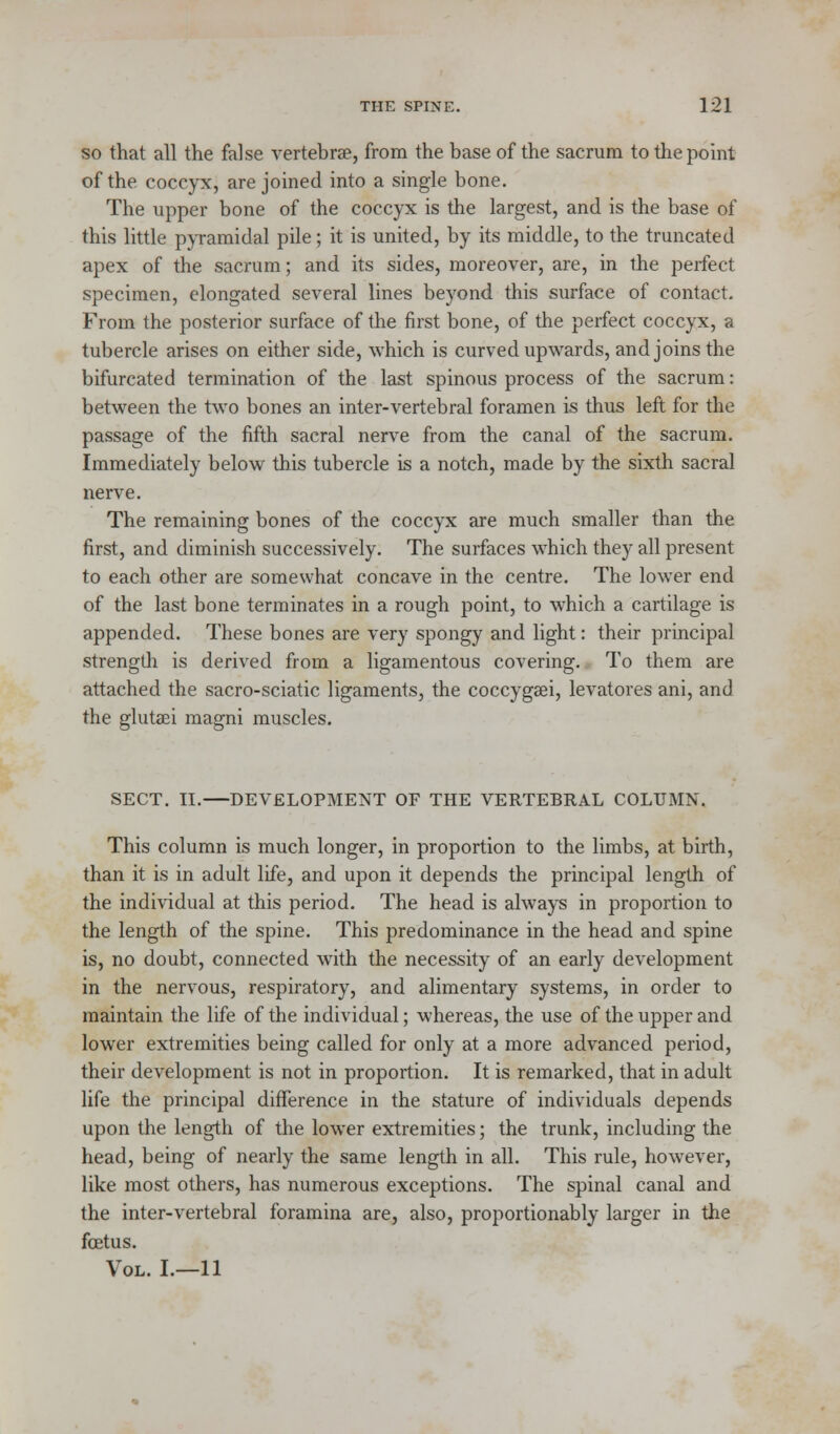 so that all the false vertebrae, from the base of the sacrum to the point of the. coccyx, are joined into a single bone. The upper bone of the coccyx is the largest, and is the base of this little pyramidal pile; it is united, by its middle, to the truncated apex of the sacrum; and its sides, moreover, are, in the perfect specimen, elongated several lines beyond this surface of contact. From the posterior surface of the first bone, of the perfect coccyx, a tubercle arises on either side, which is curved upwards, and joins the bifurcated termination of the last spinous process of the sacrum: between the two bones an inter-vertebral foramen is thus left for the passage of the fifth sacral nerve from the canal of the sacrum. Immediately below this tubercle is a notch, made by the sixth sacral nerve. The remaining bones of the coccyx are much smaller than the first, and diminish successively. The surfaces which they all present to each other are somewhat concave in the centre. The lower end of the last bone terminates in a rough point, to which a cartilage is appended. These bones are very spongy and light: their principal strengdi is derived from a ligamentous covering. To them are attached the sacro-sciatic ligaments, the coccygsei, levatores ani, and the glutaei magni muscles. SECT. II. DEVELOPMENT OF THE VERTEBRAL COLUMN. This column is much longer, in proportion to the limbs, at birth, than it is in adult life, and upon it depends the principal length of the individual at this period. The head is always in proportion to the length of the spine. This predominance in the head and spine is, no doubt, connected with the necessity of an early development in the nervous, respiratory, and alimentary systems, in order to maintain the life of the individual; whereas, the use of the upper and lower extremities being called for only at a more advanced period, their development is not in proportion. It is remarked, that in adult life the principal difference in the stature of individuals depends upon the length of the lower extremities; the trunk, including the head, being of nearly the same length in all. This rule, however, like most others, has numerous exceptions. The spinal canal and the inter-vertebral foramina are, also, proportionably larger in the foetus. Vol. L—11