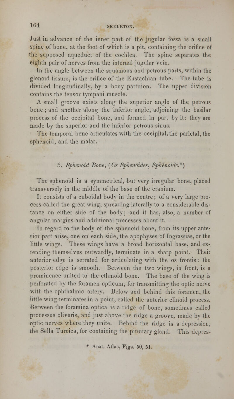 Just in advance of the inner part of the jugular fossa is a small spine of bone, at the foot of which is a pit, containing the orifice of the supposed aqueduct of the cochlea. The spine separates the eighth pair of nerves from the internal jugular vein. In the angle between the squamous and petrous parts, within the glenoid fissure, is the orifice of the Eustachian tube. The tube is divided longitudinally, by a bony partition. The upper division contains the tensor tympani muscle. A small groove exists along the superior angle of the petrous bone ; and another along the inferior angle, adjoining the basilar process of the occipital bone, and formed in part by it: they are made by the superior and the inferior petrous sinus. The temporal bone articulates with the occipital, the parietal, the sphenoid, and the malar. 5. Sphenoid Bone, (Os Sphenoides, Sphenoide.*) The sphenoid is a symmetrica], but very irregular bone, placed transversely in the middle of the base of the cranium. It consists of a cuboidal body in the centre; of a very large pro- cess called the great wing, spreading laterally to a considerable dis- tance on either side of the body; and it has, also, a number of angular margins and additional processes about it. In regard to the body of the sphenoid bone, from its upper ante- rior part arise, one on each side, the apophyses of Ingrassias, or the little wings. These wings have a broad horizontal base, and ex- tending themselves outwardly, terminate in a sharp point. Their anterior edge is serrated for articulating with the os frontis: the posterior edge is smooth. Between the two wings, in front, is a prominence united to the ethmoid bone. The base of the wing is perforated by the foramen opticum, for transmitting the optic nerve with the ophthalmic artery. Below and behind this foramen, the little wing terminates in a point, called the anterior clinoid process. Between the foramina optica is a ridge of bone, sometimes called processus olivaris, and just above the ridge a groove, made by the optic nerves where they unite. Behind the ridge is a depression, the Sella Turcica, for containing the pituitary gland. This depres-