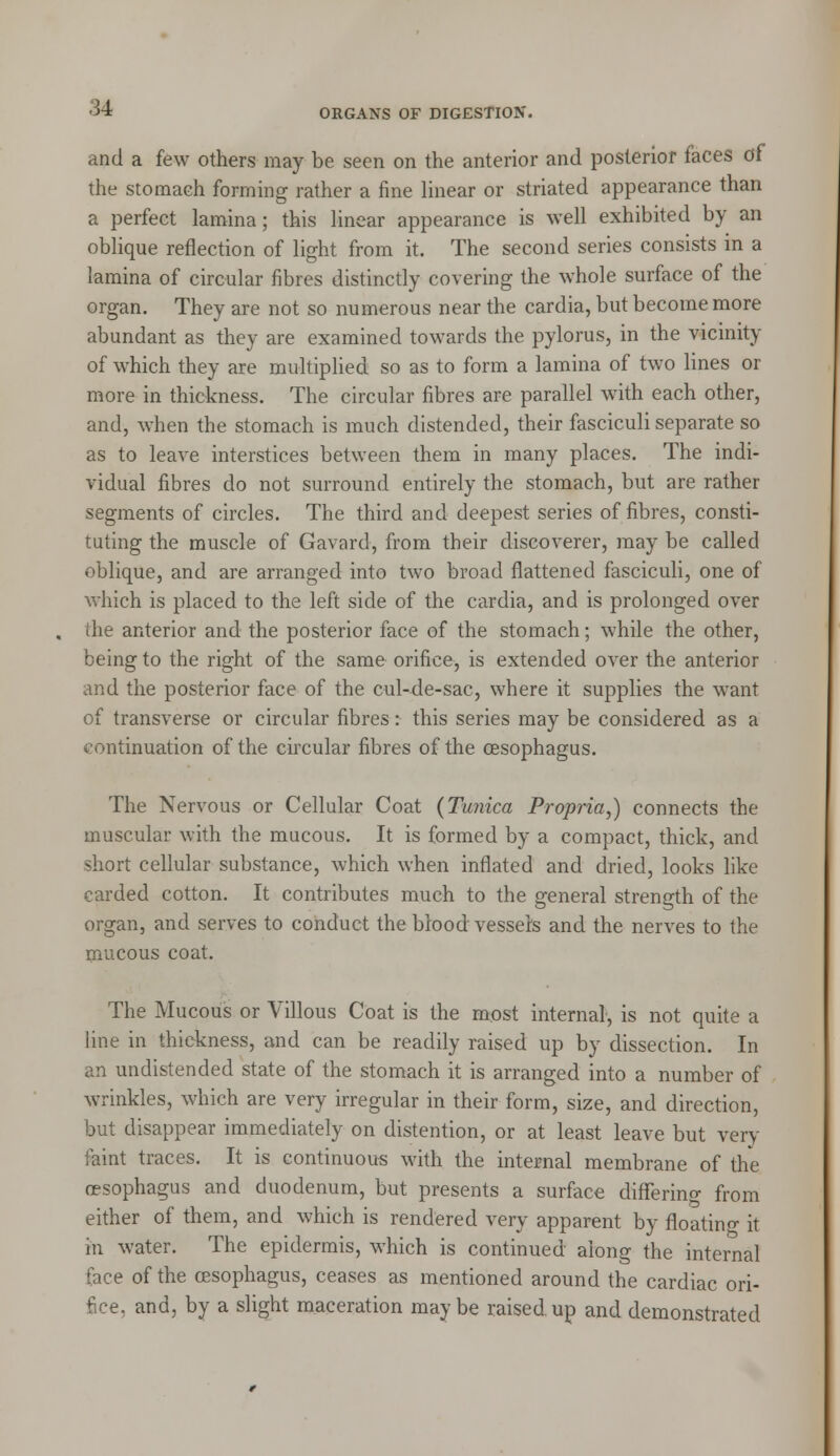 and a few others may be seen on the anterior and posterior faces of the stomaeh forming rather a fine linear or striated appearance than a perfect lamina; this linear appearance is well exhibited by an oblique reflection of light from it. The second series consists in a lamina of circular fibres distinctly covering the whole surface of the organ. They are not so numerous near the cardia, but become more abundant as they are examined towards the pylorus, in the vicinity of which they are multiplied so as to form a lamina of two lines or more in thickness. The circular fibres are parallel with each other, and, when the stomach is much distended, their fasciculi separate so as to leave interstices between them in many places. The indi- vidual fibres do not surround entirely the stomach, but are rather segments of circles. The third and deepest series of fibres, consti- tuting the muscle of Gavard, from their discoverer, may be called oblique, and are arranged into two broad flattened fasciculi, one of which is placed to the left side of the cardia, and is prolonged over the anterior and the posterior face of the stomach; while the other, being to the right of the same orifice, is extended over the anterior and the posterior face of the cul-de-sac, where it supplies the want of transverse or circular fibres: this series may be considered as a continuation of the circular fibres of the oesophagus. The Nervous or Cellular Coat (Tunica Propria,) connects the muscular with the mucous. It is formed by a compact, thick, and short cellular substance, which when inflated and dried, looks like carded cotton. It contributes much to the general strength of the organ, and serves to conduct the blood vessels and the nerves to the mucous coat. The Mucous or Villous Coat is the most internal, is not quite a line in thickness, and can be readily raised up by dissection. In an undistended state of the stomach it is arranged into a number of wrinkles, which are very irregular in their form, size, and direction, but disappear immediately on distention, or at least leave but very faint traces. It is continuous with the internal membrane of the oesophagus and duodenum, but presents a surface differing from either of them, and which is rendered very apparent by floating it in water. The epidermis, which is continued along the internal face of the oesophagus, ceases as mentioned around the cardiac ori- fice, and, by a slight maceration maybe raised.up and demonstrated