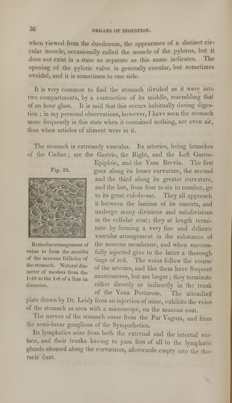 ORGANS OF DIGESTION. when viewed from the duodenum, the appearance of a distinct cir- cular muscle, occasionally called the muscle of the pylorus, but it does not exist in a state so separate as this name indicates. The opening of the pyloric valve is generally circular, but sometimes ovoidal, and it is sometimes to one side. It is very common to find the stomach divided as it were into two compartments, by a contraction of its middle, resembling that of an hour glass. It is said that this occurs habitually during diges- tion ; in my personal observations, however, I have seen the stomach more frequently in this state when it contained nothing, not even air, than when articles of aliment were in it. Fig-. 22. The stomach is extremely vascular. Its arteries, being branches of the Cceliac; are the Gastric, the Right, and the Left Gastro- Epiploic, and the Vasa Brevia. The first goes along its lesser curvature, the second and the third along its greater curvature, and the last, from four to six in number, go to its great cul-de-sac. They all approach it between the laminae of its omenta, and undergo many divisions and subdivisions in the cellular coat; they at length termi- nate by forming a very fine and delicate vascular arrangement in the substance of the mucous membrane, and when success- fully injected give to the latter a thorough tinge of red. The veins follow the course of the arteries, and like them have frequent anastomoses, but are larger; they terminate either directly or indirectly in the trunk of the Vena Portarum. The attending plate drawn by Dr. Leidy from an injection of mine, exhibits the veins of the stomach as seen with a microscope, on the mucous coat. The nerves of the stomach come from the Par Vagum, and from the semi-lunar ganglions of the Sympathetics. Its lymphatics arise from both the external and the internal sur- face, and their trunks having to pass first of all to the lymphatic glands situated along the curvatures, afterwards empty into the tho- racic duct. Reticulararrangement of veins to form the months of the mucous follicles of the stomach. Natural d ia- meter of meshes from the 1-40 to the 1-8 of a line in diameter.