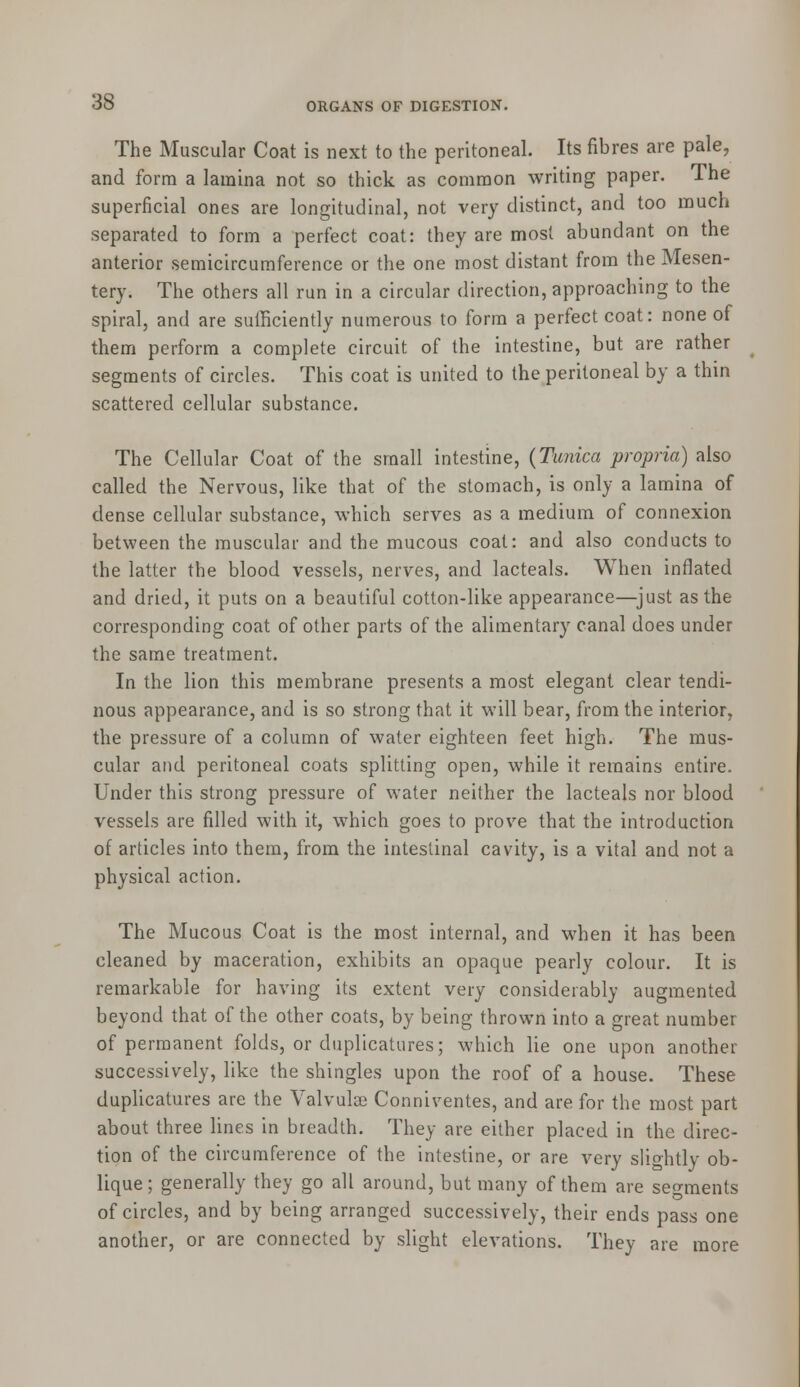 The Muscular Coat is next to the peritoneal. Its fibres are pale, and form a lamina not so thick as common writing paper. The superficial ones are longitudinal, not very distinct, and too much separated to form a perfect coat: they are most abundant on the anterior semicircumference or the one most distant from the Mesen- tery. The others all run in a circular direction, approaching to the spiral, and are sufficiently numerous to form a perfect coat: none of them perform a complete circuit of the intestine, but are rather segments of circles. This coat is united to the peritoneal by a thin scattered cellular substance. The Cellular Coat of the small intestine, {Tunica propria) also called the Nervous, like that of the stomach, is only a lamina of dense cellular substance, which serves as a medium of connexion between the muscular and the mucous coat: and also conducts to the latter the blood vessels, nerves, and lacteals. When inflated and dried, it puts on a beautiful cotton-like appearance—just as the corresponding coat of other parts of the alimentary canal does under the same treatment. In the lion this membrane presents a most elegant clear tendi- nous appearance, and is so strong that it will bear, from the interior, the pressure of a column of water eighteen feet high. The mus- cular and peritoneal coats splitting open, while it remains entire. Under this strong pressure of water neither the lacteals nor blood vessels are filled with it, which goes to prove that the introduction of articles into them, from the intestinal cavity, is a vital and not a physical action. The Mucous Coat is the most internal, and when it has been cleaned by maceration, exhibits an opaque pearly colour. It is remarkable for having its extent very considerably augmented beyond that of the other coats, by being thrown into a great number of permanent folds, or duplicatures; which lie one upon another successively, like the shingles upon the roof of a house. These duplicatures are the Valvulse Conniventes, and are for the most part about three lines in breadth. They are either placed in the direc- tion of the circumference of the intestine, or are very slightly ob- lique; generally they go all around, but many of them are segments of circles, and by being arranged successively, their ends pass one another, or are connected by slight elevations. They are more