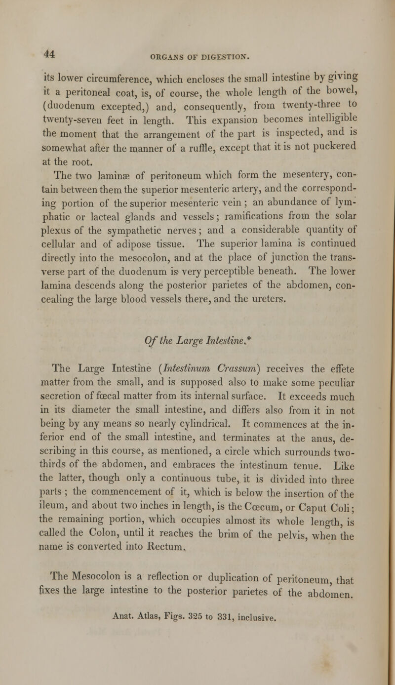 ORGANS OF DIGESTION. its lower circumference, which encloses the small intestine by giving it a peritoneal coat, is, of course, the whole length of the bowel, (duodenum excepted,) and, consequently, from twenty-three to twenty-seven feet in length. This expansion becomes intelligible the moment that the arrangement of the part is inspected, and is somewhat after the manner of a ruffle, except that it is not puckered at the root. The two laminae of peritoneum which form the mesentery, con- tain between them the superior mesenteric artery, and the correspond- ing portion of the superior mesenteric vein ; an abundance of lym- phatic or lacteal glands and vessels; ramifications from the solar plexus of the sympathetic nerves; and a considerable quantity of cellular and of adipose tissue. The superior lamina is continued directly into the mesocolon, and at the place of junction the trans- verse part of the duodenum is very perceptible beneath. The lower lamina descends along the posterior parietes of the abdomen, con- cealing the large blood vessels there, and the ureters. Of the Large Intestine* The Large Intestine (Intestinum Crassum) receives the effete matter from the small, and is supposed also to make some peculiar secretion of fecal matter from its internal surface. It exceeds much in its diameter the small intestine, and differs also from it in not being by any means so nearly cylindrical. It commences at the in- ferior end of the small intestine, and terminates at the anus, de- scribing in this course, as mentioned, a circle which surrounds two- thirds of the abdomen, and embraces the intestinum tenue. Like the latter, though only a continuous tube, it is divided into three parts ; the commencement of it, which is below the insertion of the ileum, and about two inches in length, is the Ccecum, or Caput Coli; the remaining portion, which occupies almost its whole length, is called the Colon, until it reaches the brim of the pelvis, when the name is converted into Rectum. The Mesocolon is a reflection or duplication of peritoneum that fixes the large intestine to the posterior parietes of the abdomen. Anat. Atlas, Figs. 325 to 331, inclusive.