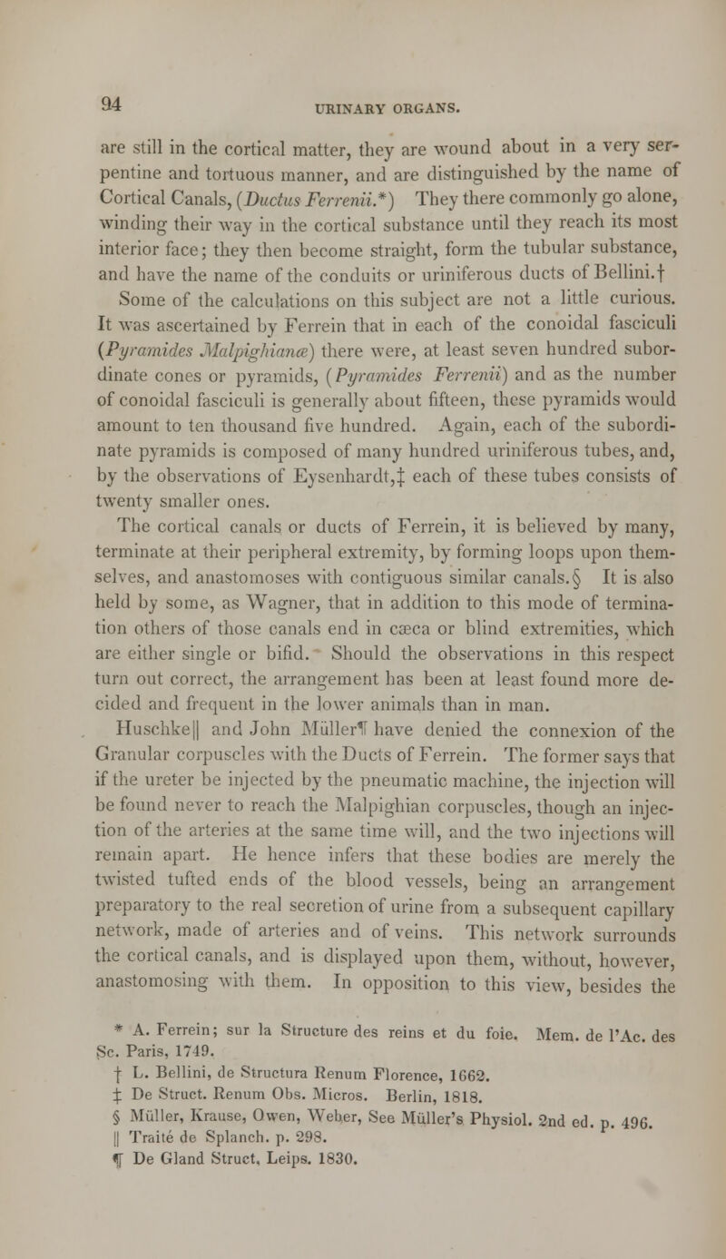 are still in the cortical matter, they are wound about in a very ser- pentine and tortuous manner, and are distinguished by the name of Cortical Canals, (Ductus Ferrenii*) They there commonly go alone, winding their way in the cortical substance until they reach its most interior face; they then become straight, form the tubular substance, and have the name of the conduits or uriniferous ducts of Bellini.f Some of the calculations on this subject are not a little curious. It was ascertained by Ferrein that in each of the conoidal fasciculi (Pyramides Malpighiance) there were, at least seven hundred subor- dinate cones or pyramids, (Pyramides Ferrenii) and as the number of conoidal fasciculi is generally about fifteen, these pyramids would amount to ten thousand five hundred. Again, each of the subordi- nate pyramids is composed of many hundred uriniferous tubes, and, by the observations of Eysenhardt,J each of these tubes consists of twenty smaller ones. The cortical canals or ducts of Ferrein, it is believed by many, terminate at their peripheral extremity, by forming loops upon them- selves, and anastomoses with contiguous similar canals. § It is also held by some, as Wagner, that in addition to this mode of termina- tion others of those canals end in casca or blind extremities, which are either single or bifid. Should the observations in this respect turn out correct, the arrangement has been at least found more de- cided and frequent in the lower animals than in man. Huschke|| and John Miillerll have denied the connexion of the Granular corpuscles with the Ducts of Ferrein. The former says that if the ureter be injected by the pneumatic machine, the injection will be found never to reach the Malpighian corpuscles, though an injec- tion of the arteries at the same time will, and the two injections will remain apart. He hence infers that these bodies are merely the twisted tufted ends of the blood vessels, being an arrangement preparatory to the real secretion of urine from a subsequent capillary network, made of arteries and of veins. This network surrounds the cortical canals, and is displayed upon them, without, however, anastomosing with them. In opposition to this view, besides the * A. Ferrein; sur la Structure des reins et du foie. Mem. de l'Ac. des Sc. Paris, 1749, \ L. Bellini, de Structura Renum Florence, 1662. \ De Struct. Renum Obs. Micros. Berlin, 1818. § Muller, Krause, Owen, Weber, See Muller's Physiol. 2nd ed. p. 496. || Traite de Splanch. p. 298. f De Gland Struct, Leips. 1830.