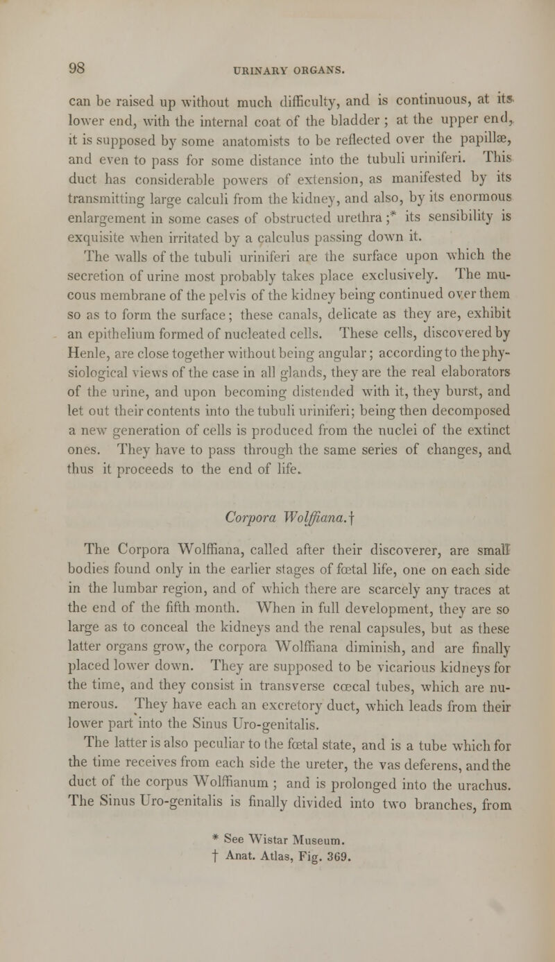 can be raised up without much difficulty, and is continuous, at its. lower end, with the internal coat of the bladder ; at the upper end, it is supposed by some anatomists to be reflected over the papilla?, and even to pass for some distance into the tubuli uriniferi. This duct has considerable powers of extension, as manifested by its transmitting large calculi from the kidney, and also, by its enormous enlargement in some cases of obstructed urethra ;* its sensibility is exquisite when irritated by a calculus passing down it. The walls of the tubuli uriniferi are the surface upon which the secretion of urine most probably takes place exclusively. The mu- cous membrane of the pelvis of the kidney being continued over them so as to form the surface; these canals, delicate as they are, exhibit an epithelium formed of nucleated cells. These cells, discovered by Henle, are close together without being angular; according to the phy- siological views of the case in all glands, they are the real elaborators of the urine, and upon becoming distended with it, they burst, and let out their contents into the tubuli uriniferi; being then decomposed a new generation of cells is produced from the nuclei of the extinct ones. They have to pass through the same series of changes, and thus it proceeds to the end of life. Corpora Wolffiana.] The Corpora Wolffiana, called after their discoverer, are small bodies found only in the earlier stages of fcetal life, one on each side in the lumbar region, and of which there are scarcely any traces at the end of the fifth month. When in full development, they are so large as to conceal the kidneys and the renal capsules, but as these latter organs grow, the corpora Wolffiana diminish, and are finally placed lower down. They are supposed to be vicarious kidneys for the time, and they consist in transverse coecal tubes, which are nu- merous. They have each an excretory duct, which leads from their lower part into the Sinus Uro-genitalis. The latter is also peculiar to the fcetal state, and is a tube which for the time receives from each side the ureter, the vas deferens, and the duct of the corpus Wolffianum ; and is prolonged into the urachus. The Sinus Uro-genitalis is finally divided into two branches, from * See Wistar Museum. f Anat. Atlas, Fig. 369.