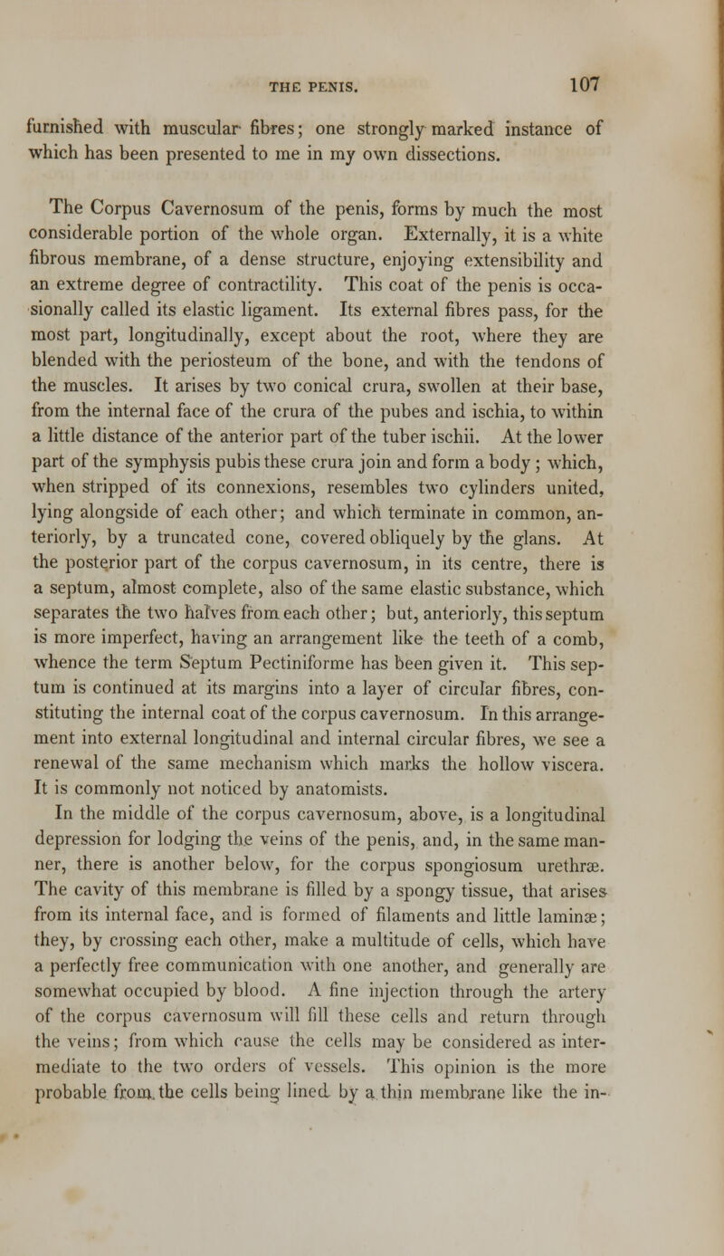 furnished with muscular fibres; one strongly marked instance of which has been presented to me in my own dissections. The Corpus Cavernosum of the penis, forms by much the most considerable portion of the whole organ. Externally, it is a white fibrous membrane, of a dense structure, enjoying extensibility and an extreme degree of contractility. This coat of the penis is occa- sionally called its elastic ligament. Its external fibres pass, for the most part, longitudinally, except about the root, where they are blended with the periosteum of the bone, and with the tendons of the muscles. It arises by two conical crura, swollen at their base, from the internal face of the crura of the pubes and ischia, to within a little distance of the anterior part of the tuber ischii. At the lower part of the symphysis pubis these crura join and form a body ; which, when stripped of its connexions, resembles two cylinders united, lying alongside of each other; and which terminate in common, an- teriorly, by a truncated cone, covered obliquely by the glans. At the posterior part of the corpus cavernosum, in its centre, there is a septum, almost complete, also of the same elastic substance, which separates the two halves from each other; but, anteriorly, this septum is more imperfect, having an arrangement like the teeth of a comb, whence the term Septum Pectiniforme has been given it. This sep- tum is continued at its margins into a layer of circular fibres, con- stituting the internal coat of the corpus cavernosum. In this arrange- ment into external longitudinal and internal circular fibres, we see a renewal of the same mechanism which marks the hollow viscera. It is commonly not noticed by anatomists. In the middle of the corpus cavernosum, above, is a longitudinal depression for lodging the veins of the penis, and, in the same man- ner, there is another below, for the corpus spongiosum urethrse. The cavity of this membrane is filled by a spongy tissue, that arises from its internal face, and is formed of filaments and little laminae; they, by crossing each other, make a multitude of cells, which have a perfectly free communication with one another, and generally are somewhat occupied by blood. A fine injection through the artery of the corpus cavernosum will fill these cells and return through the veins; from which cause the cells may be considered as inter- mediate to the two orders of vessels. This opinion is the more probable from, the cells being lined, by a thin membrane like the in-