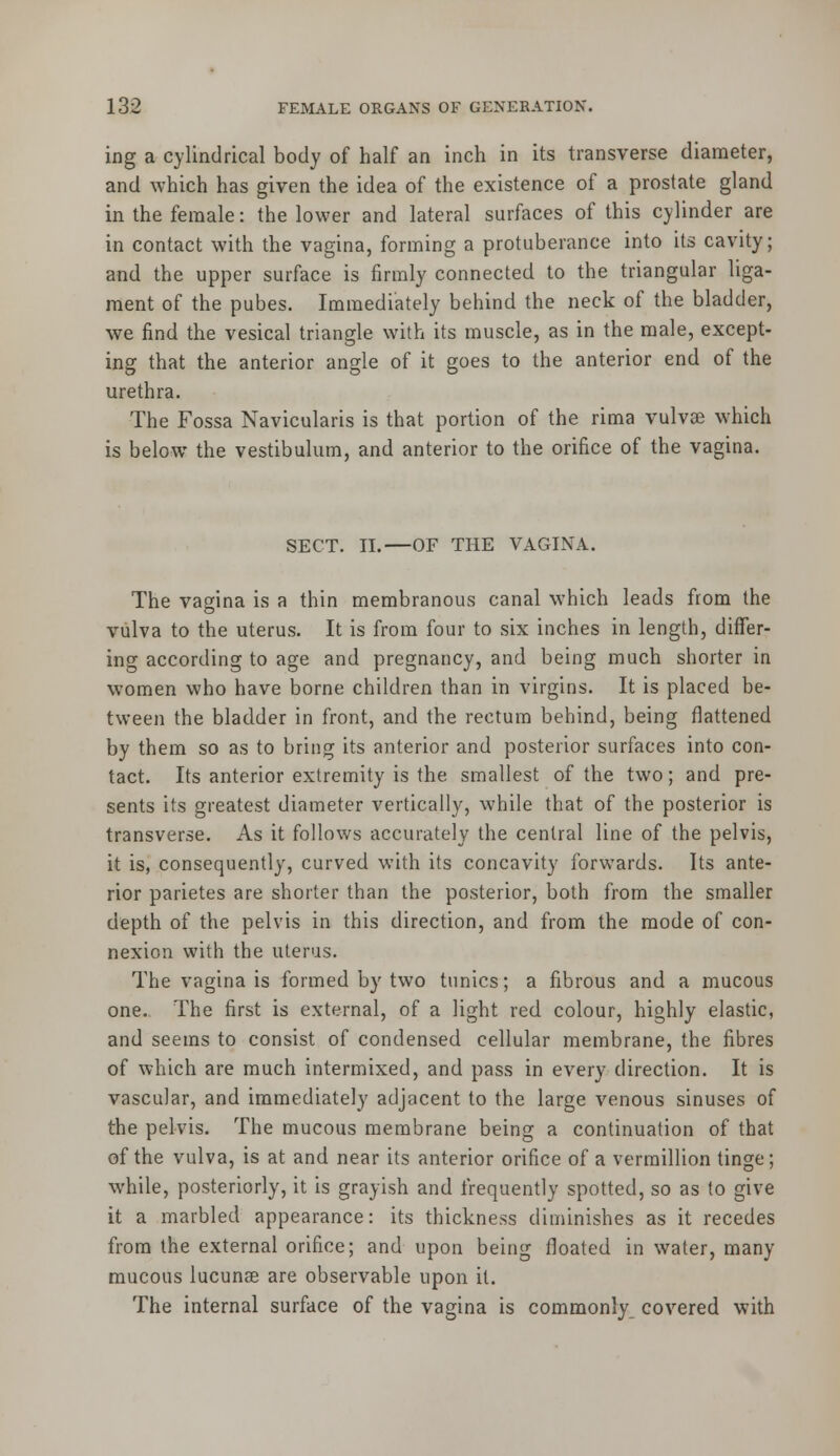 ing a cylindrical body of half an inch in its transverse diameter, and which has given the idea of the existence of a prostate gland in the female: the lower and lateral surfaces of this cylinder are in contact with the vagina, forming a protuberance into its cavity; and the upper surface is firmly connected to the triangular liga- ment of the pubes. Immediately behind the neck of the bladder, we find the vesical triangle with its muscle, as in the male, except- ing that the anterior angle of it goes to the anterior end of the urethra. The Fossa Naviculars is that portion of the rima vulvse which is below the vestibulum, and anterior to the orifice of the vagina. SECT. II.—OF THE VAGINA. The vagina is a thin membranous canal which leads from the vulva to the uterus. It is from four to six inches in length, differ- ing according to age and pregnancy, and being much shorter in women who have borne children than in virgins. It is placed be- tween the bladder in front, and the rectum behind, being flattened by them so as to bring its anterior and posterior surfaces into con- tact. Its anterior extremity is the smallest of the two; and pre- sents its greatest diameter vertically, while that of the posterior is transverse. As it follows accurately the central line of the pelvis, it is, consequently, curved with its concavity forwards. Its ante- rior parietes are shorter than the posterior, both from the smaller depth of the pelvis in this direction, and from the mode of con- nexion with the uterus. The vagina is formed by two tunics; a fibrous and a mucous one. The first is external, of a light red colour, highly elastic, and seems to consist of condensed cellular membrane, the fibres of which are much intermixed, and pass in every direction. It is vascular, and immediately adjacent to the large venous sinuses of the pelvis. The mucous membrane being a continuation of that of the vulva, is at and near its anterior orifice of a vermillion tinge; while, posteriorly, it is grayish and frequently spotted, so as to give it a marbled appearance: its thickness diminishes as it recedes from the external orifice; and upon being floated in water, many mucous lucunae are observable upon it. The internal surface of the vagina is commonly covered with